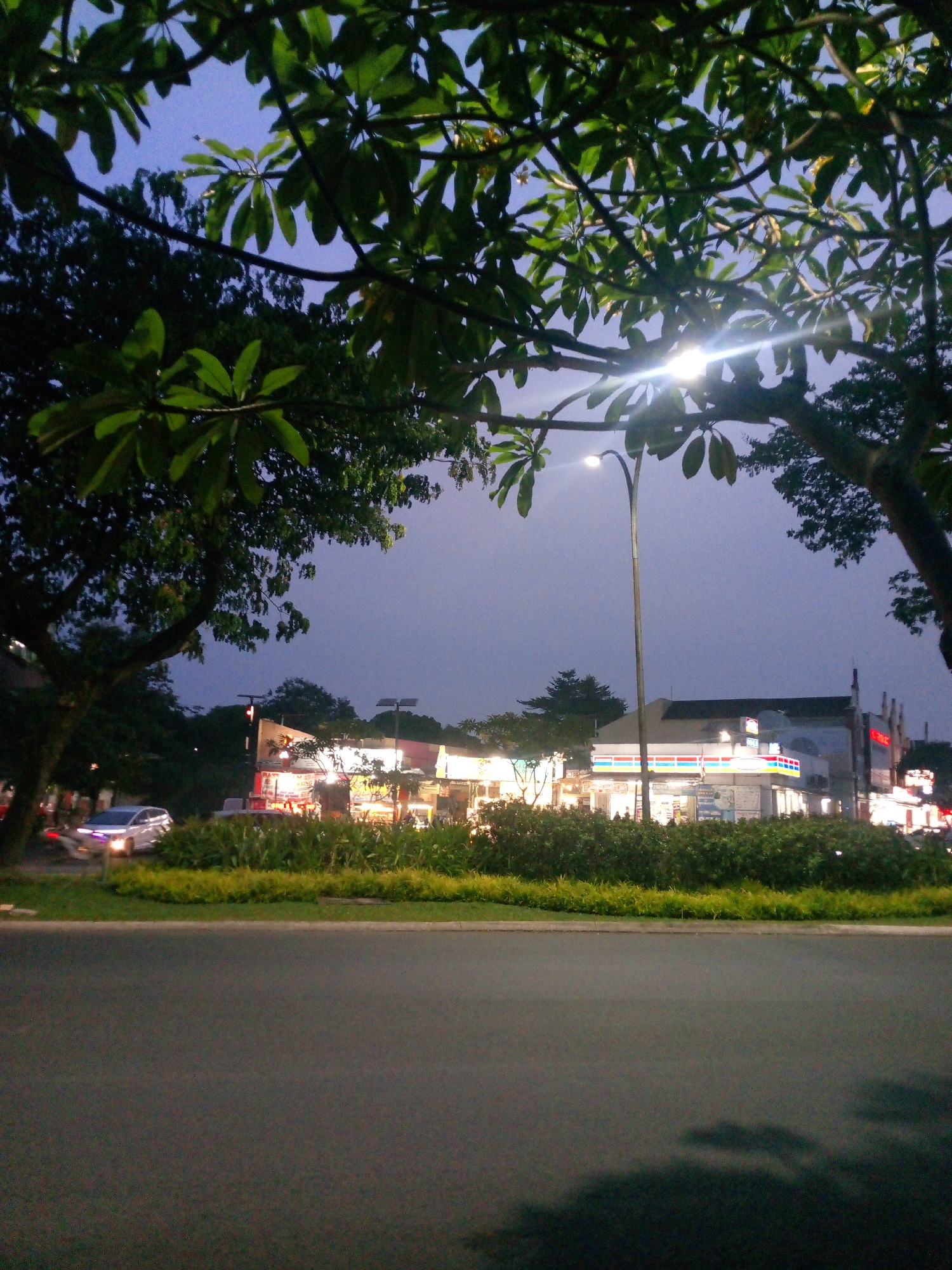 The image shows a street scene at dusk in Cikupa, Indonesia. In the foreground, a dark asphalt road occupies the bottom half of the frame, with a shadow of foliage cast upon it. A green lawn borders the road, followed by a dense row of bushes and ornamental grasses. Behind the vegetation, a row of brightly lit buildings is visible, featuring signs for convenience stores and other businesses. One of these buildings has a prominent "7-Eleven" sign. A street light with a modern design stands tall in the middle ground. The sky above is a deep, dusky blue, with the sun appearing to have recently set, as evidenced by a lens flare from a bright light source. The branches of leafy trees overhang the scene from the top and sides, framing the view of the street and buildings. A white car is driving on the road to the left, its headlights illuminated. The overall impression is a suburban or commercial area at the transition from day to night, with artificial lights illuminating the storefronts.