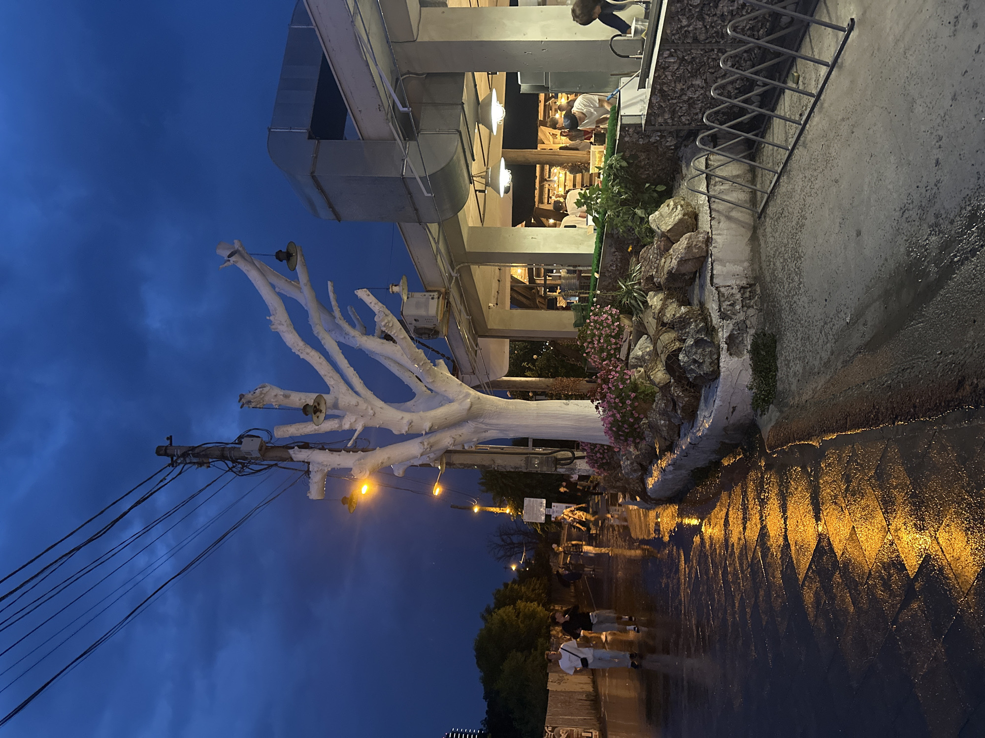 The image depicts an outdoor scene at dusk or night in Odesa, Ukraine. The sky is a deep blue with dark clouds. A wet, paved street reflects yellow and orange light from streetlamps and illuminated buildings. On the left side of the street, several people are walking. In the foreground and right of the image, there is a building with an open-air seating area, possibly a cafe or restaurant. Several tables and chairs are visible inside. A white-painted tree with bare branches, adorned with a few hanging lights, stands prominently near the building. The area around the tree is decorated with rocks and pink flowers. A metal rack, likely for bicycles, is positioned in front of the building. The overall atmosphere suggests a public space in a city, possibly a promenade or street adjacent to a commercial area, experiencing a damp evening.