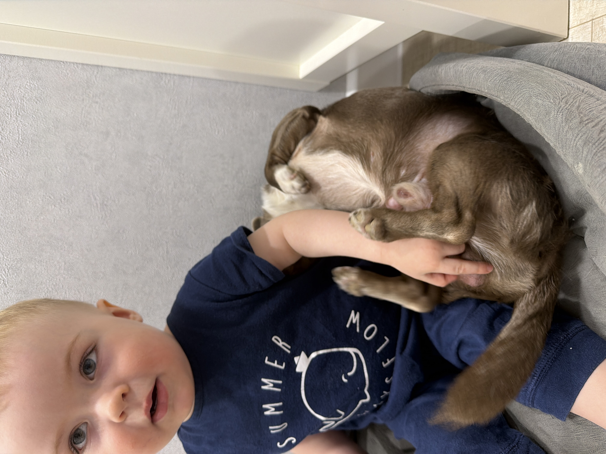 A high-angle, rotated image captures a tender indoor scene featuring a young child and a small dog. A fair-skinned toddler with light blonde hair and blue eyes is partially visible in the foreground, looking towards the camera with a neutral expression. The child wears a dark blue t-shirt with white text that reads "SUMMER" on the left and "FLOW" or a similar word on the right, accompanied by a stylized graphic of a head or face. Dark blue pants are also visible.
The child's right arm is extended, with their hand gently touching the belly or hind leg area of a small, light brown and white dog. The dog is curled up and appears to be sleeping or resting peacefully in a soft, gray pet bed, which takes up the right side of the frame. The background consists of a light gray textured wallpaper and a cream-colored shelf or furniture piece above. The setting appears to be a home in Votkinsk, Russia, and the scene conveys a quiet, affectionate moment between the child and the pet.