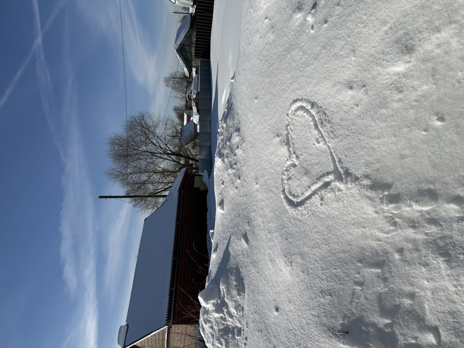 The image captures a winter scene in Pokrov, Russia. In the immediate foreground, a heart shape has been drawn into fresh, undulating snow. Behind this, a substantial snowdrift is visible, followed by a light-colored corrugated metal fence running horizontally across the midground. To the left, a wooden building, possibly a house or barn, features a dark red lower exterior and a lighter upper facade, with its sloped roof heavily covered in snow. A small, snow-covered pipe or vent protrudes from the roof. A tall, bare deciduous tree stands prominently in the center background, alongside a utility pole. Further in the background, additional snow-covered structures and fences are discernible. The sky above is clear and blue, exhibiting scattered cirrus clouds and multiple aircraft contrails, one pair forming an 'X' pattern. The scene is brightly illuminated by strong sunlight, which casts distinct shadows. No individuals are present.