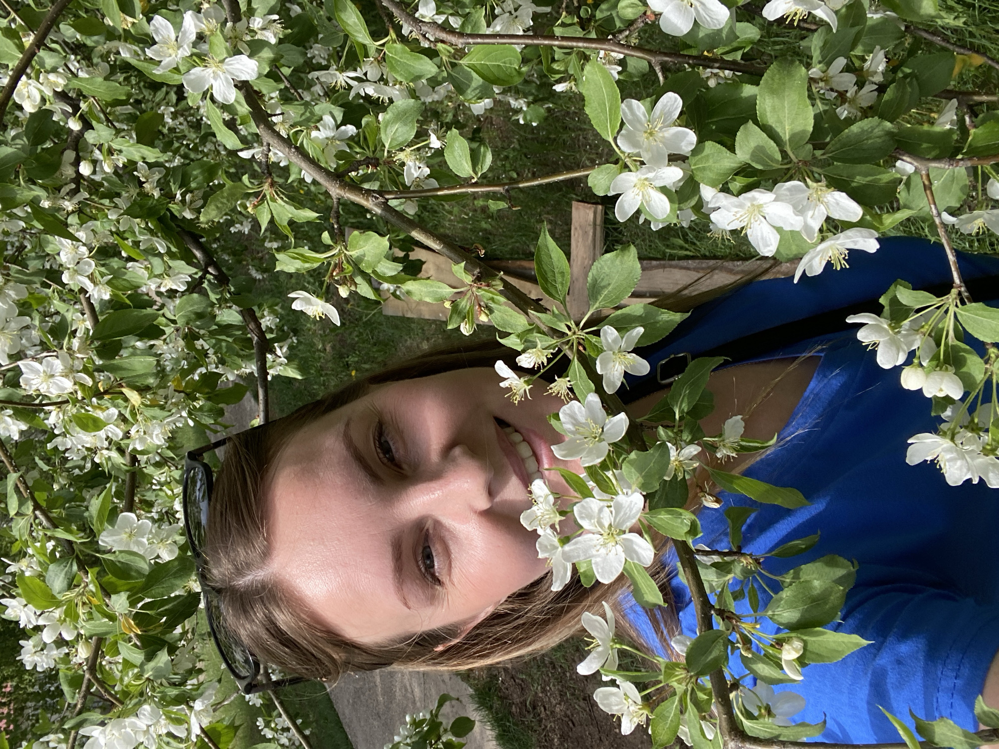 A young woman lies on her back under a tree in bloom, looking up at the camera and smiling. She is wearing a blue shirt. Sunglasses are perched on her head. The location is likely a park or garden, with grass visible in the background, although the city is unknown. The blooms are small and white with green leaves. Some rough-hewn wooden structures are visible behind the tree branches.