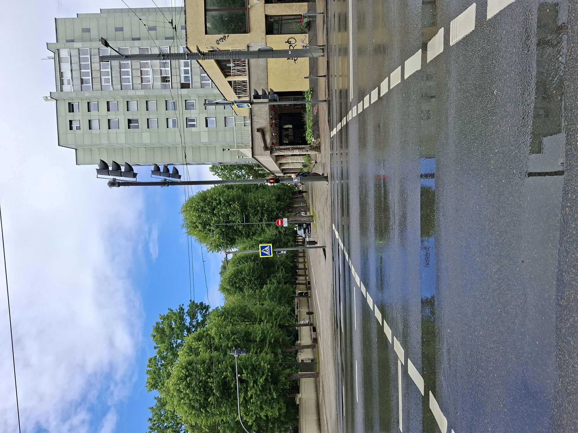 The image depicts a wet, paved intersection in Kaunas, Lithuania. The asphalt surface is slick with water, reflecting the overcast sky and surrounding buildings. A pedestrian crossing with dashed white lines is visible in the foreground, partially submerged in puddles.
On the right side of the intersection, a tall, pale green apartment building stands prominently. Adjacent to it, a smaller yellow building with a covered outdoor seating area is situated. A traffic light, currently displaying a red signal, is positioned at the intersection's corner.
To the left of the intersection, a row of mature green trees lines a sidewalk. Beyond the trees, a cream-colored wall with architectural detailing runs along the property. In the distance, several more trees are visible, creating a natural barrier.
A few individuals are present in the scene. A person in dark clothing stands near the traffic light, facing away from the camera. Another individual is walking along the sidewalk in the distance, further down the tree-lined street. A black car is parked on the far side of the intersection, near a pedestrian crossing sign.
The overall atmosphere is calm and slightly muted, likely due to the weather conditions. The scene appears to be a typical urban streetscape, likely in a residential or mixed-use area of Kaunas.