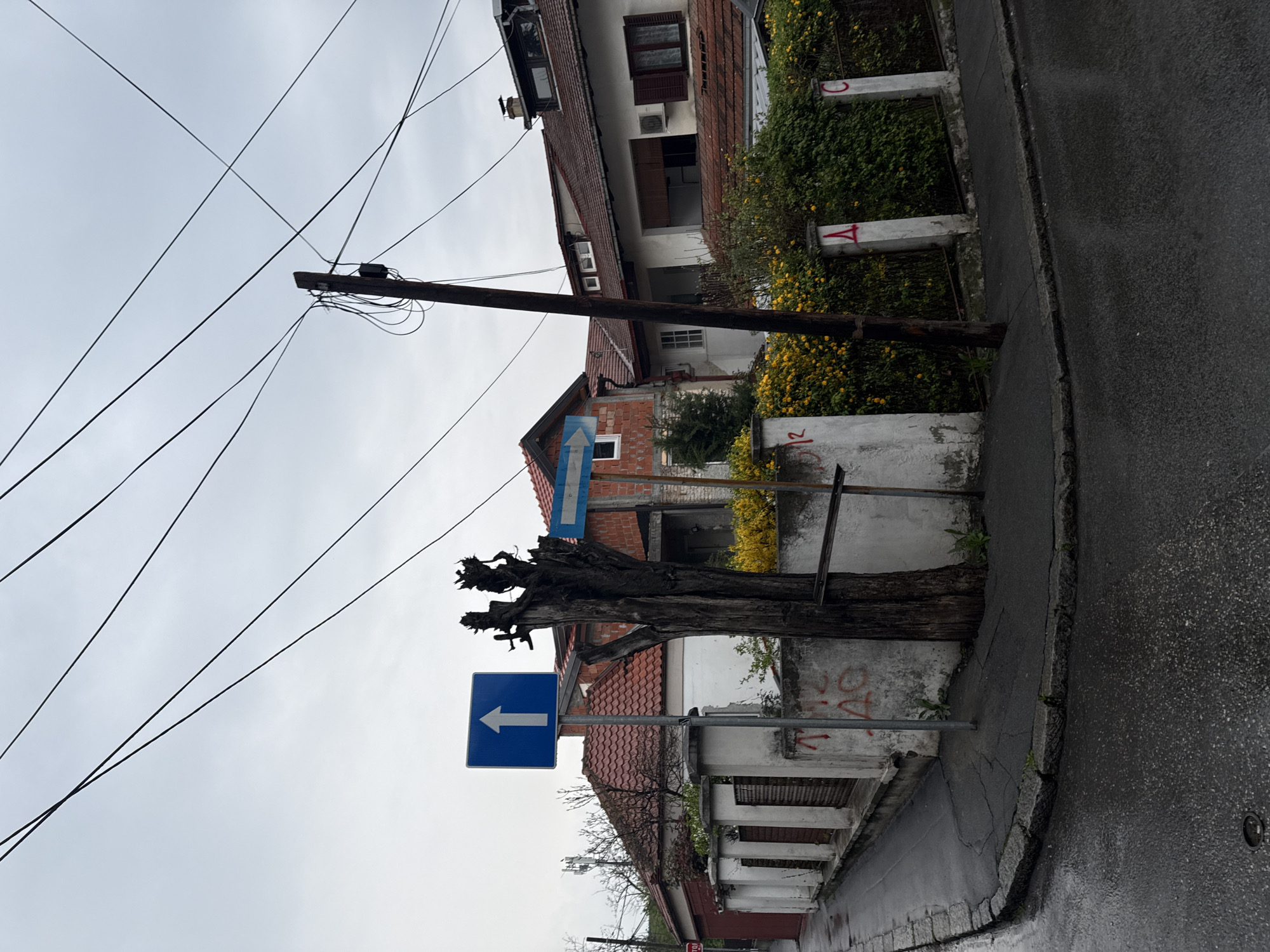 The image shows a street scene in Vozdovac Urban Municipality, Serbia. A tall, bare tree trunk stands in front of buildings. Two blue directional signs with white arrows point in opposite directions. Overhead, a network of power lines stretches from a utility pole. The buildings are a mix of residential styles, with red-tiled roofs and aged facades. The street appears wet, possibly after rain. The environment includes vegetation growing along walls and sidewalks. There are no people visible in the image.