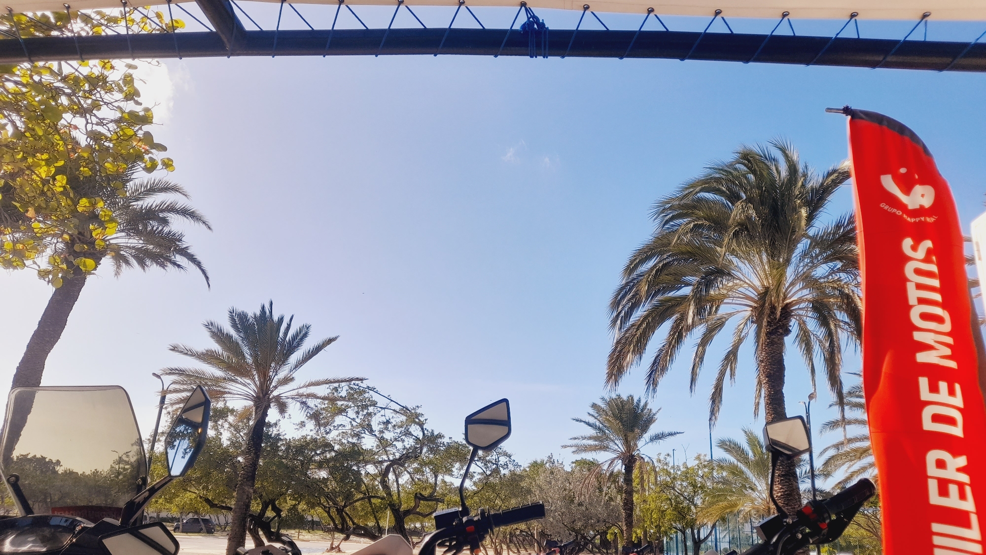 The image depicts a bright, sunny day with a clear blue sky. In the foreground, the handlebars and mirrors of a motorcycle are visible, suggesting the viewer is seated on or near a motorcycle. The motorcycle's windshield reflects the surrounding environment, showing trees and buildings.
Several palm trees are scattered throughout the scene, with lush green foliage. One prominent element is a tall, vertical red banner with white text, appearing to be a flag or sign. The text on the banner, "MOTOS", is clearly legible, and above it, a smaller logo with the words "GRUPO HAPPY" is visible.
The environment appears to be outdoors, possibly a street or a park, with a paved area visible in the distance. The overall impression is one of a tropical or subtropical location.
The provided context mentions the location as Pedro González, Venezuela. This geographical information helps to place the scene within a specific region, known for its warm climate and vegetation typical of coastal or tropical areas.
