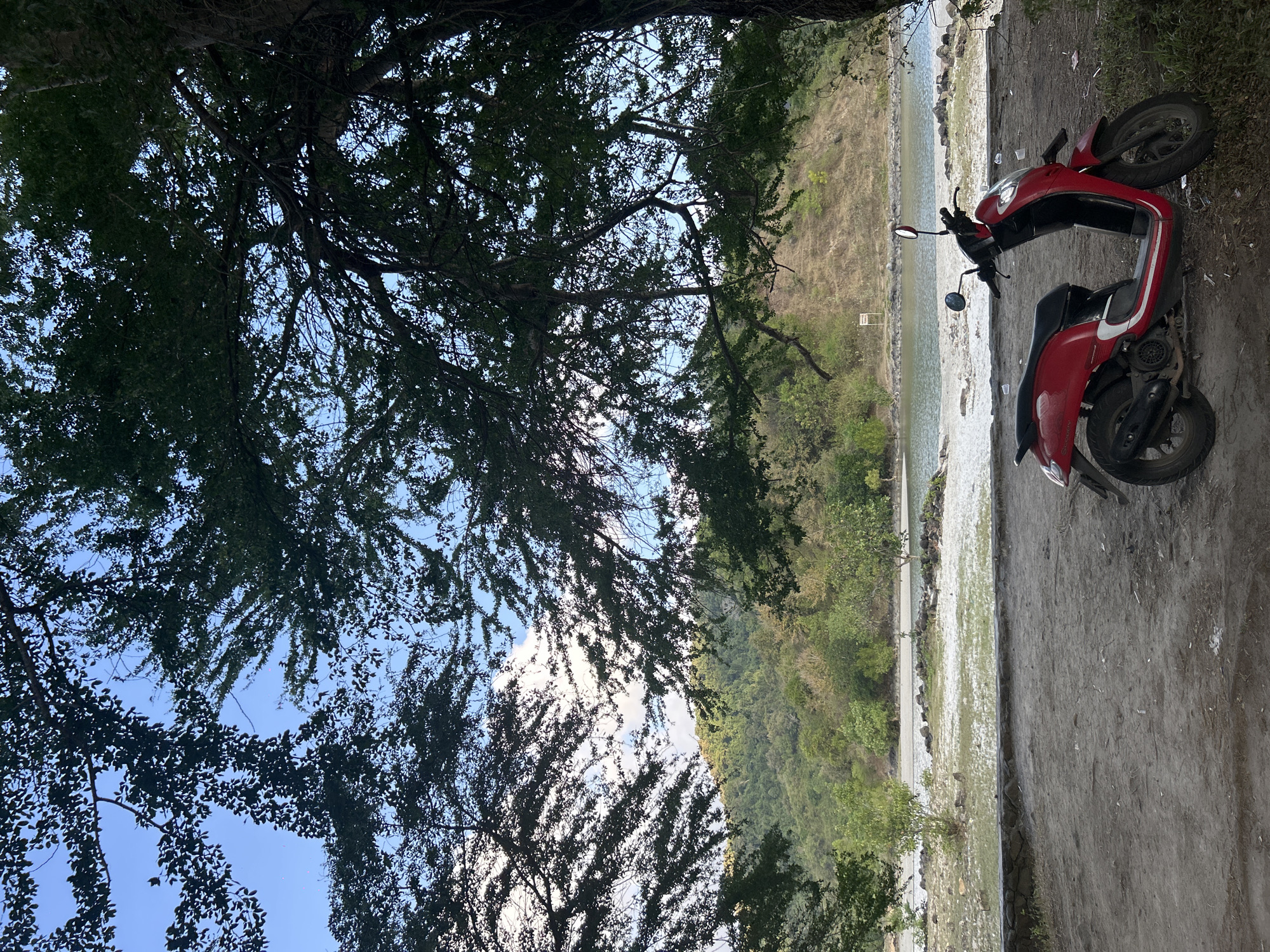 A red scooter is parked on a dirt path in Selongbelanak, Indonesia. The scooter is facing left, with its front wheel turned slightly inward. Behind the scooter, there is a body of water and a hill covered in trees. The sky is blue with some clouds. The image is taken from a low angle, looking up at the trees.