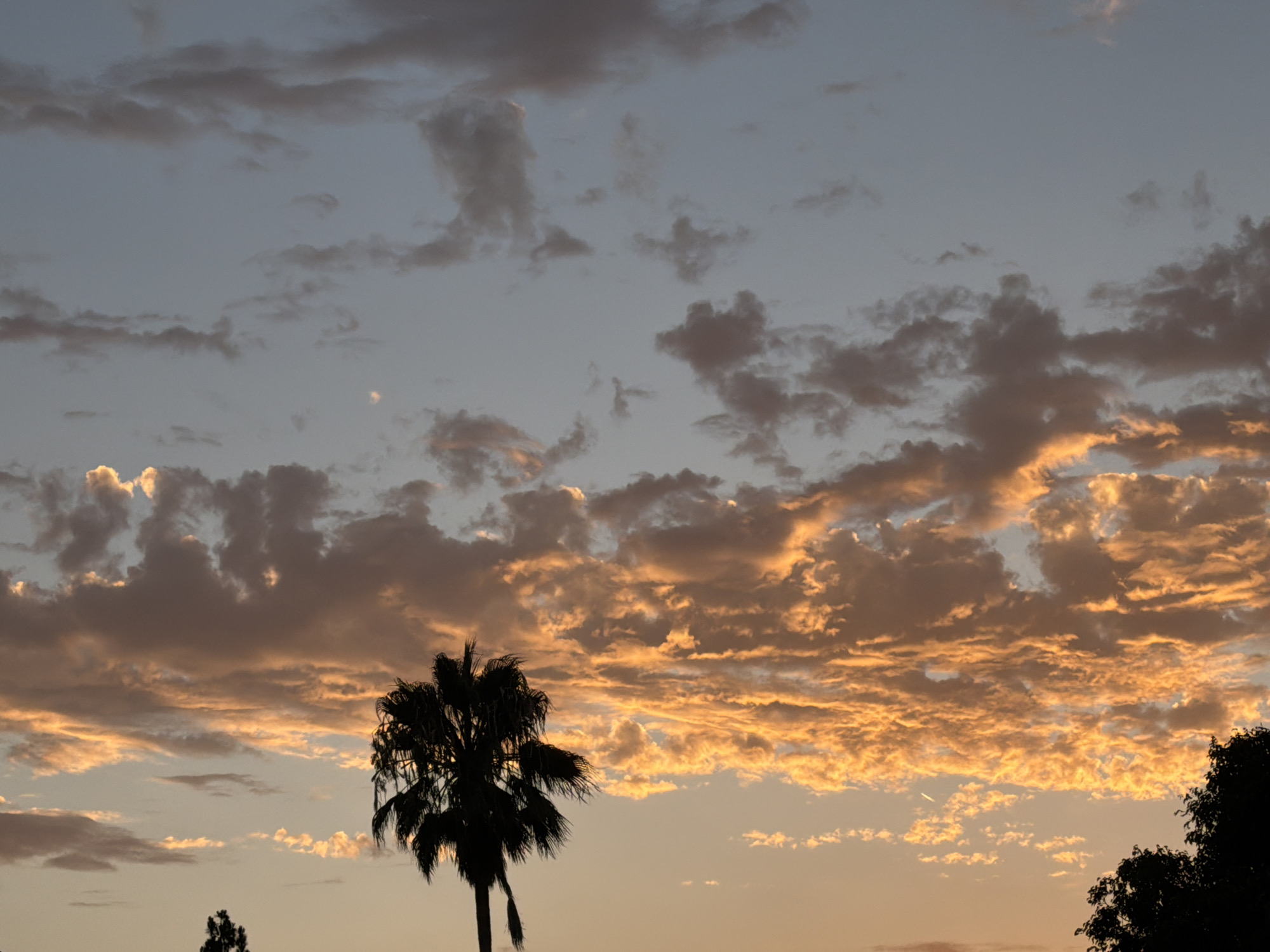 The image shows a silhouetted palm tree against a sunset sky. The sky is filled with clouds, some of which are illuminated by the setting sun, casting an orange glow. The lower part of the sky is a pale orange, transitioning to a pale blue at the top. The palm tree is in the foreground, with its fronds spread out. The scene is tranquil and serene.
