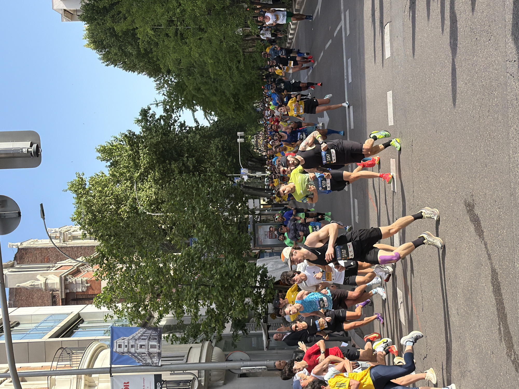 The image depicts a large group of runners participating in a marathon on a street in Madrid, Spain. The runners are diverse in age and attire, some wearing athletic gear with race numbers visible on their chests. The street is wide, with lane markings and shadows cast by the trees that line the sides of the road. Buildings are visible on the left side of the image, including one with a banner of the city. The sky is clear and blue, indicating a sunny day.