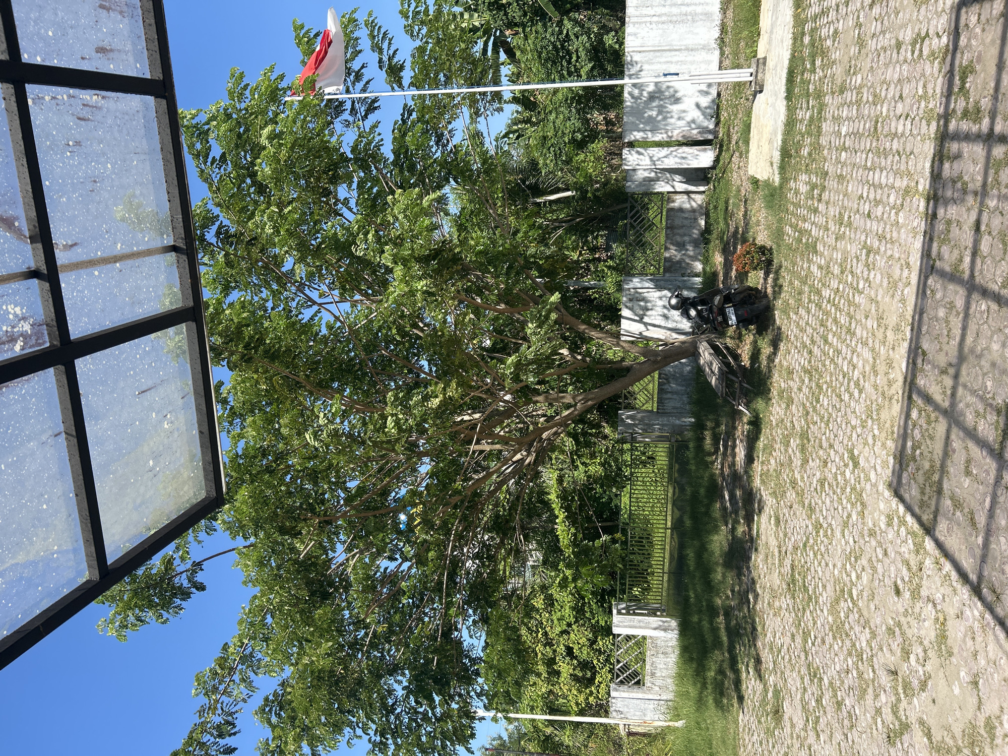 The image depicts an outdoor scene in Lhokseumawe, Indonesia. A large, full tree dominates the center of the frame, with a red and white Indonesian flag visible behind its canopy, indicating the location. A structure with a glass paneled roof is visible on the left. To the right of the tree is a paved area with grass growing between the paving stones. A motorcycle is parked near a small garden area enclosed by a short fence. A low concrete wall and further green foliage are visible in the background. The sky is clear and blue.