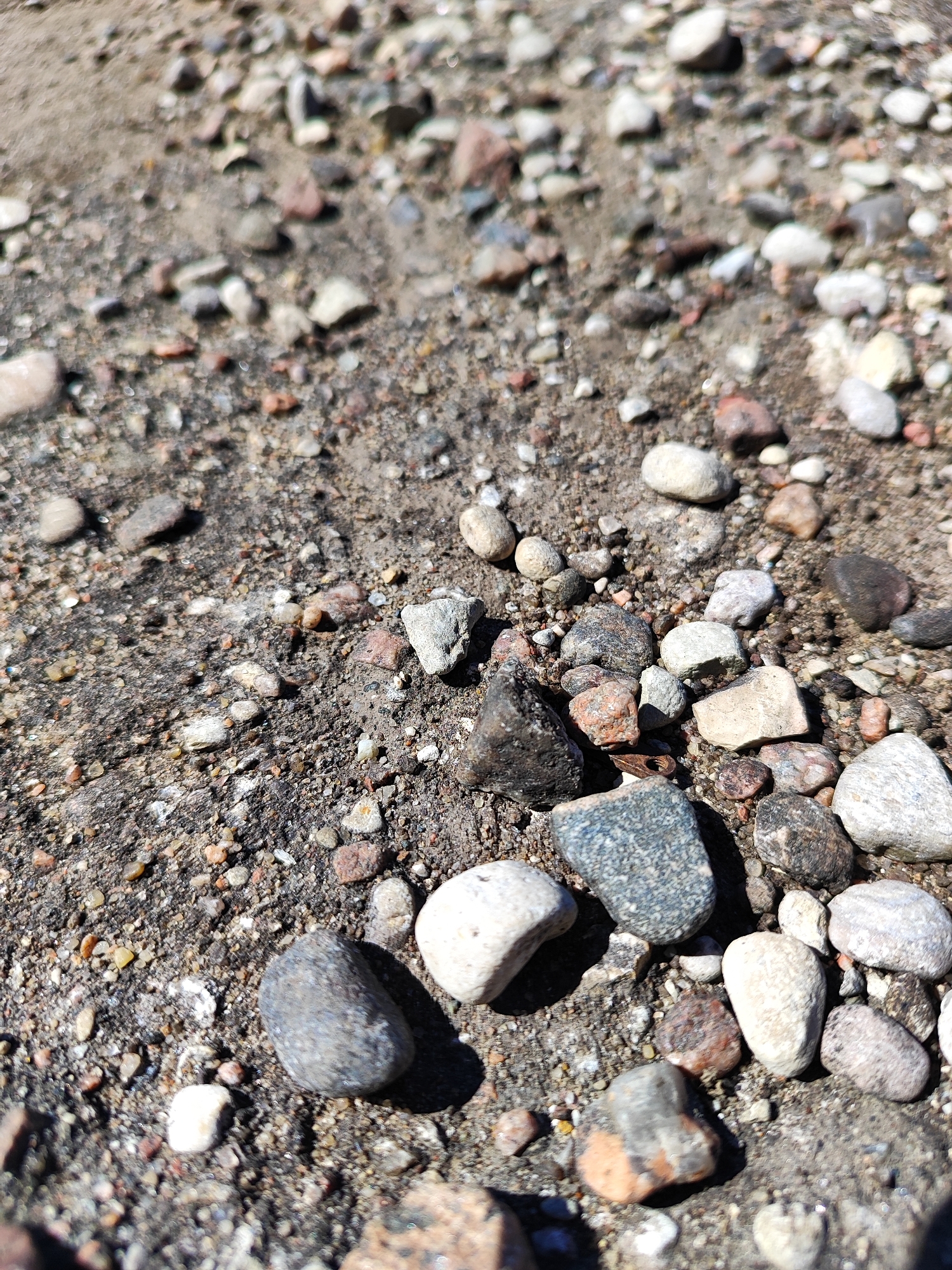 The image shows a close-up, high-angle view of a patch of gravel and dirt. Numerous small stones of varying colors and shapes are scattered across the surface, with some appearing wet and others dry. The ground is uneven and appears to be outdoors. There are no people, animals, or buildings visible. The scene is consistent with a portion of a sidewalk, pathway, or construction site in a city like Hrodna, Belarus, or any urban area with unpaved or partially paved surfaces.