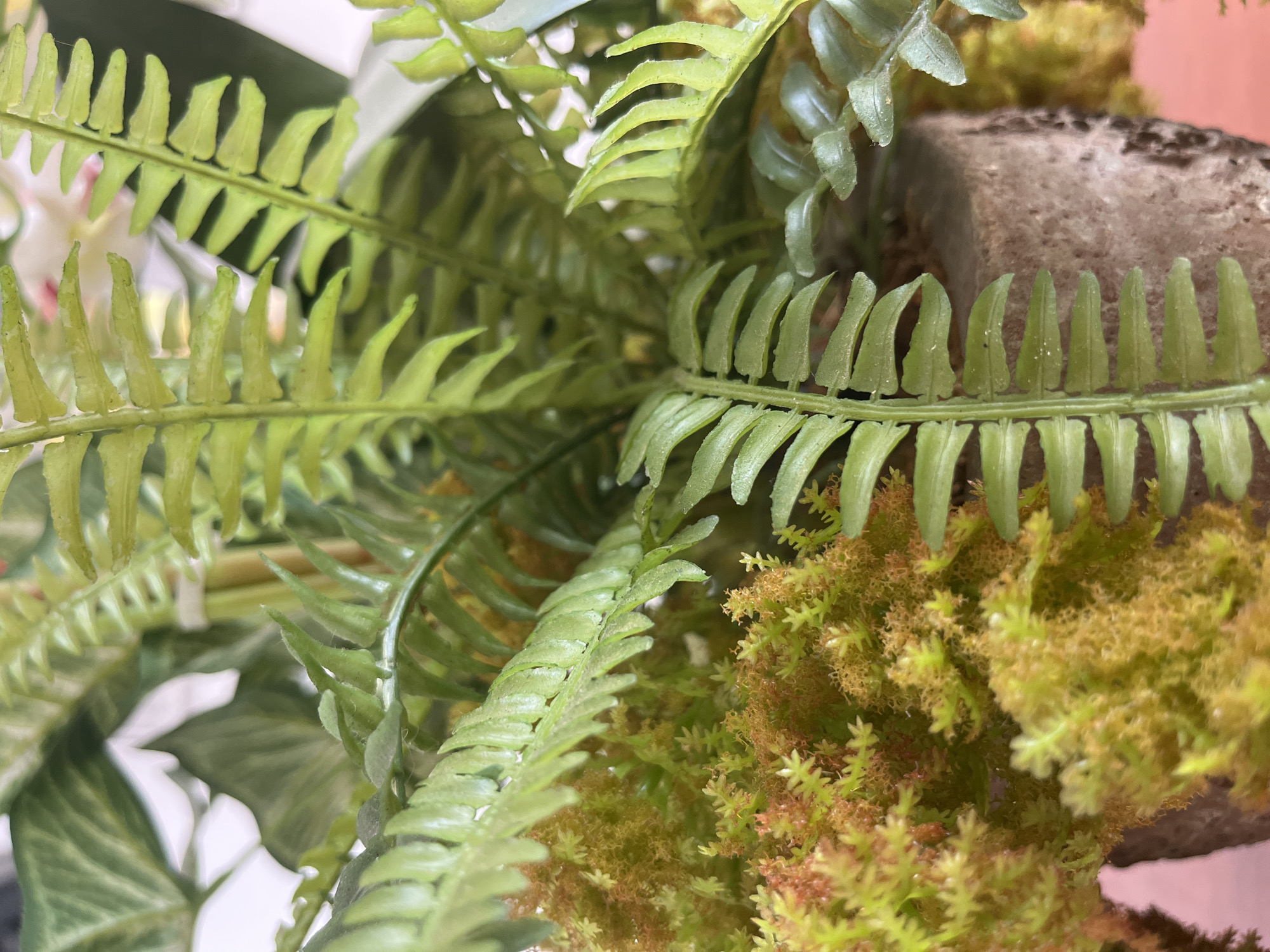 A close-up photograph captures a dense arrangement of faux plants and moss. Predominantly, various shades of green are visible, composing fern-like leaves with segmented leaflets, as well as smaller, dense clusters of yellow-green moss. A gray, rectangular object with a rough texture appears partially obscured by the foliage. The scene lacks clear identifying details about Nha Trang Ward in Vietnam. There are no people, subjects, actions or interactions visible in this image.