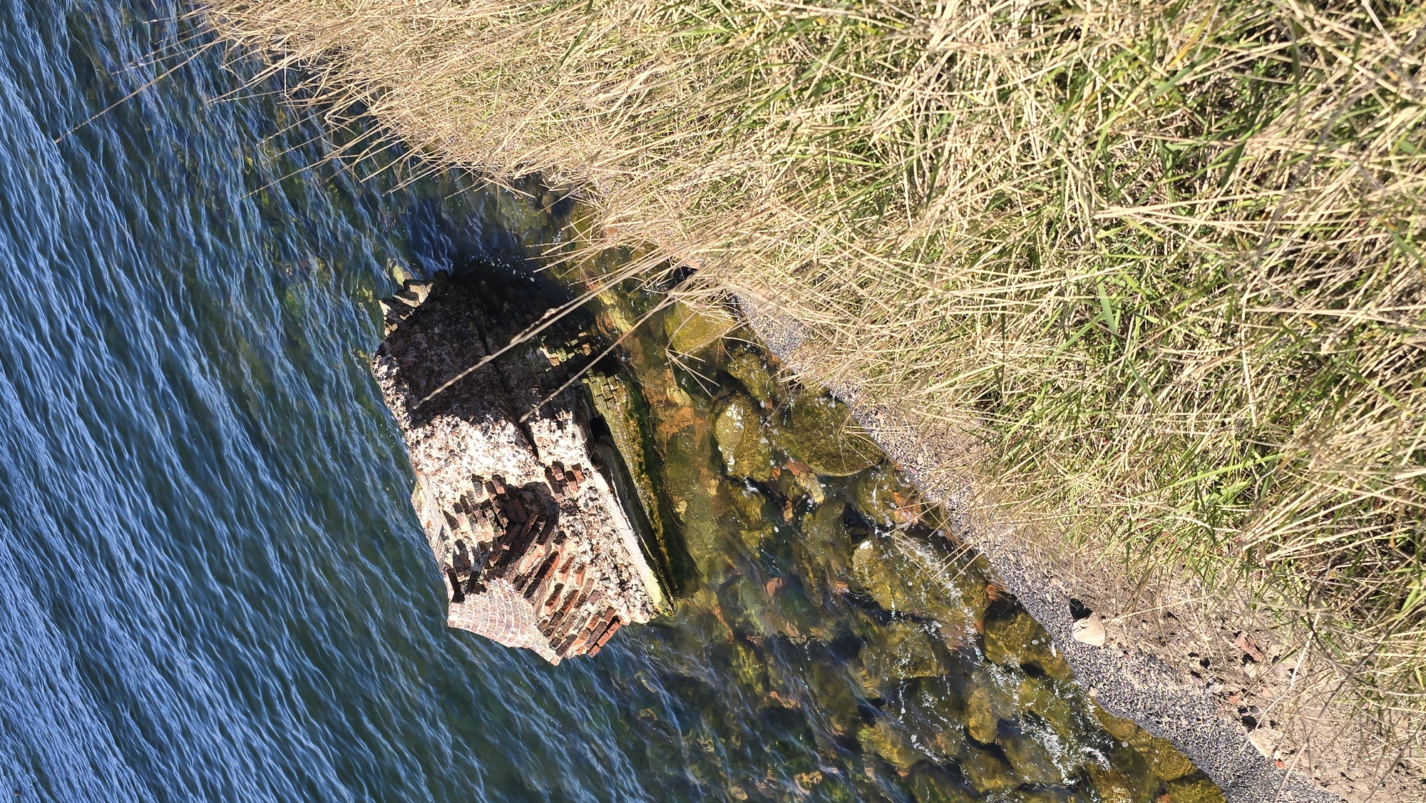 The image shows a section of the Baltic Sea shoreline in Baltiysk, Russia. The water is a deep blue, rippled by a light breeze. An old, crumbling brick structure sits at the edge of the water, partially submerged. Moss and algae cover the submerged portion. The shoreline is made of small stones and sand, with dried grass and vegetation growing along the edge.