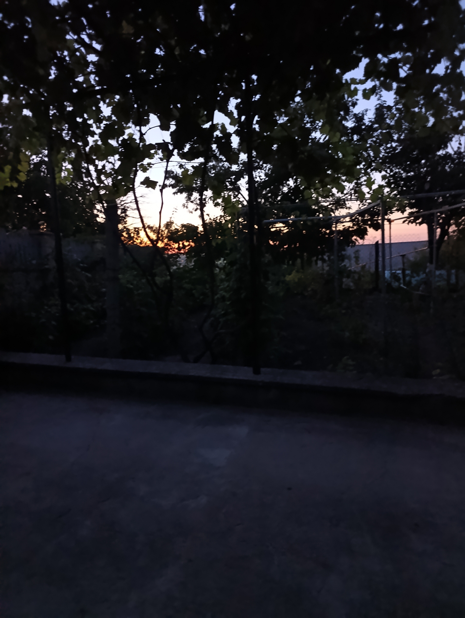 The image depicts a twilight scene with trees silhouetted against a pale orange and blue sky. In the foreground, a dark, paved surface leads towards a low, dark concrete border. Beyond the border, dense foliage and trees obscure much of the background, but glimpses of a fence and structures can be seen. The setting appears to be a garden or yard in Roghi, Moldova, characterized by its natural elements and dim evening light. There are no people or animals visible in the frame.