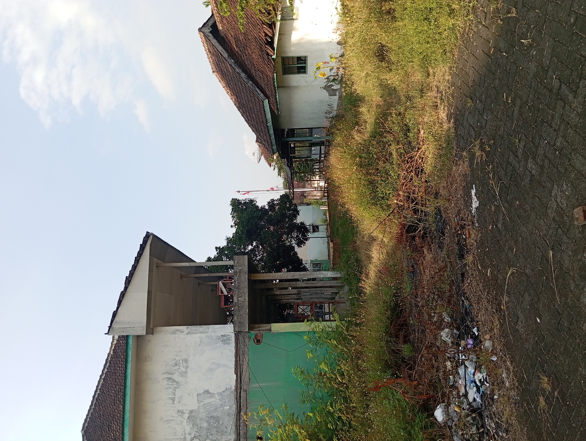 The image depicts a scene in Pandaan, Indonesia, featuring two buildings and overgrown vegetation. The building on the left is partially constructed or in disrepair, with a green-painted lower section and an upper section with exposed concrete pillars and a balcony area. Debris, including plastic bottles and bags, is visible in the foreground to the left of this building.
The building on the right is a single-story structure with a brown tile roof. It appears weathered, with peeling paint on its white exterior walls and a green-framed window. A small sunflower is growing near the front of this building.
The area between the buildings and around them is filled with tall, dry grass and some green bushes. In the background, a flag pole with two flags, one red and white and another white, is visible, along with the top of a satellite dish on a further building. The sky is clear with some wispy clouds. The ground in the foreground is paved with dark grey interlocking bricks. The overall impression is one of neglect and an unkempt environment.