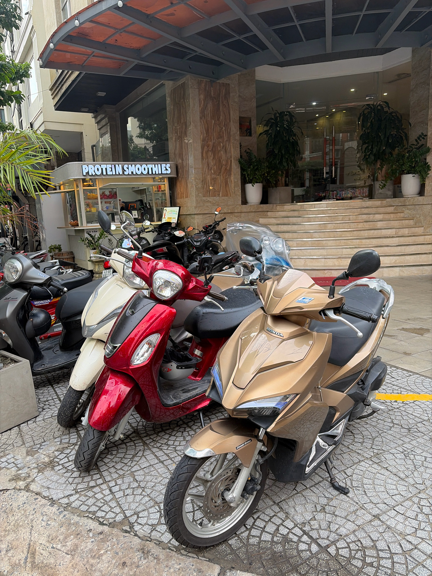 The image shows a row of parked scooters and motorbikes in front of a building with a glass entrance and a covered awning. The building appears to be a commercial establishment, possibly a hotel or an office building, with a smoothie stand labeled "PROTEIN SMOOTHIES" visible to the left. The ground is paved with decorative tiles. Several scooters are parked on the sidewalk, with the closest one being a gold-colored Honda. A red scooter and a cream-colored scooter are parked behind it. In the background, a set of stairs leads up to the building's entrance, flanked by large potted plants. The scene is likely in Đà Nẵng, Vietnam, given the style of the scooters and the architectural elements. There are no people visible in the image, and the objects are static and inanimate. The environment appears to be outdoors, under an overcast sky.