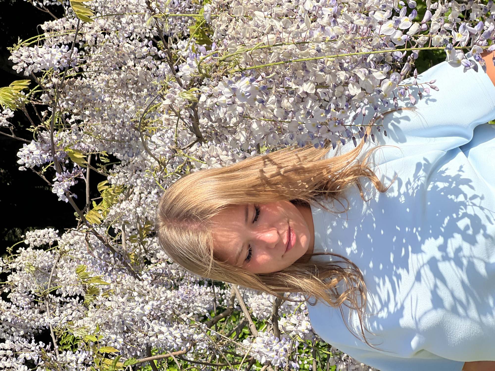 A young woman with blonde hair is partially visible, positioned against a backdrop of flowering wisteria. The woman is wearing a light blue garment, possibly a shirt or dress. She has her eyes closed, and her face is illuminated by sunlight filtering through the blossoms. The wisteria flowers are densely clustered and range in color from white to pale lavender. The location may be Sveti Stefan, Montenegro.