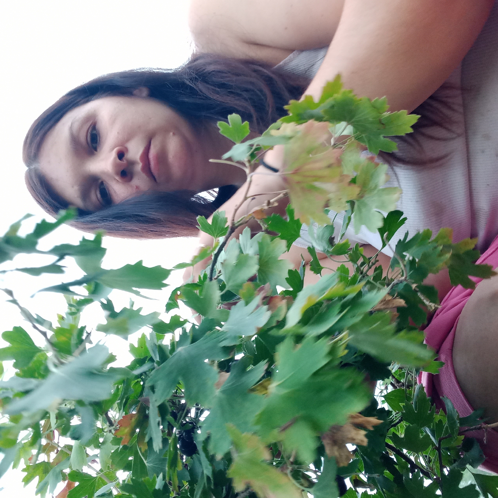 This image, captured in the city of Klyntsi, Ukraine, shows a low-angle, close-up view of a woman partially obscured by green foliage. The woman has long, dark hair and is wearing a white tank top and a pink garment, possibly a hoodie or jacket, on her left side. Her face is turned towards the camera, with her eyes looking directly at the viewer. She appears to be reaching out, with her right hand visible near a branch. The background is a bright, overcast sky, suggesting it is daytime. The scene is outdoors, with the focus on the woman and the surrounding vegetation.