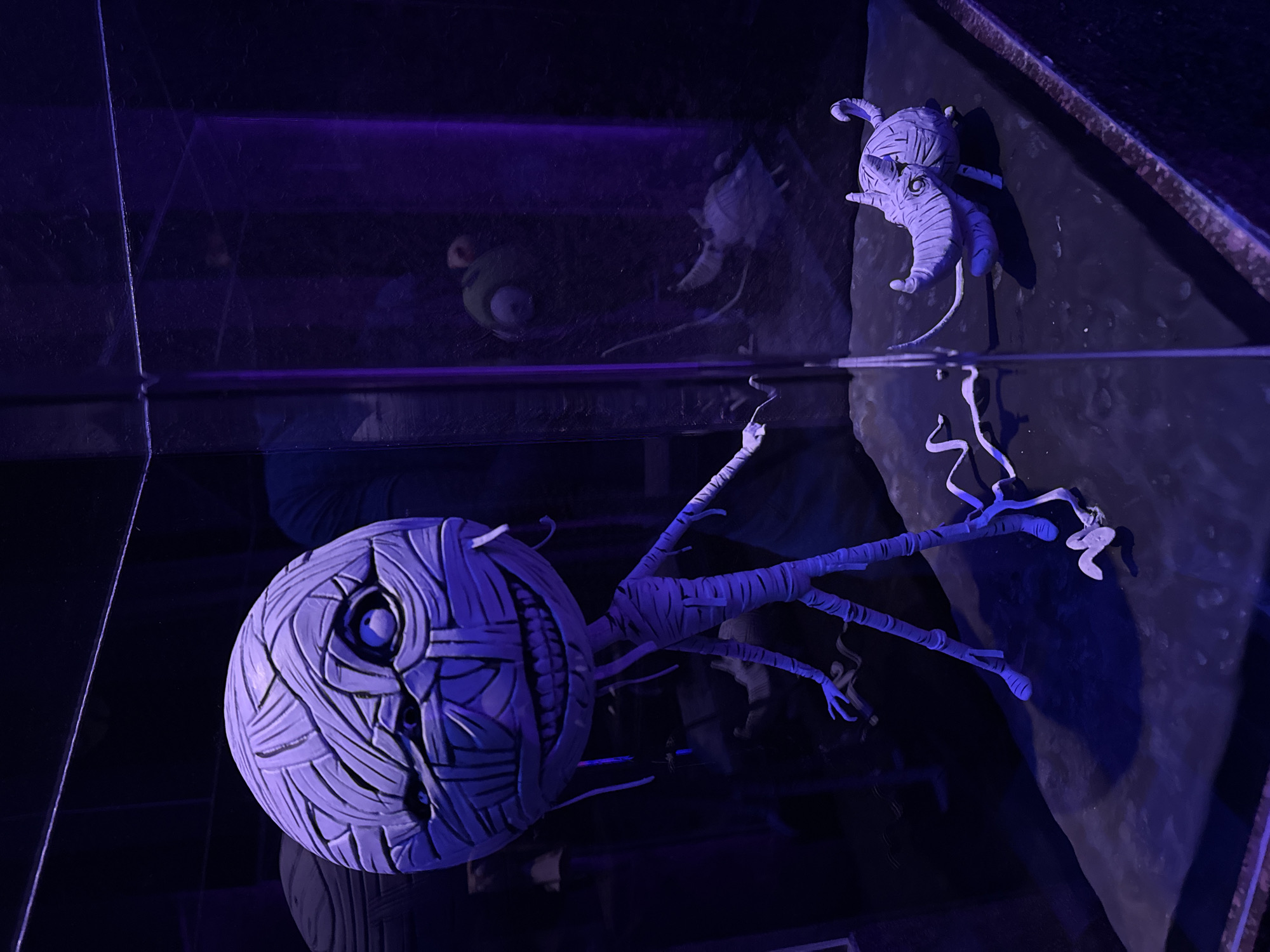 The image shows a display case containing two mummy-like figures, illuminated by purple lighting. The larger figure, on the left, is standing and appears to be a stylized humanoid with a large, round head wrapped in bandages, a wide grin, and a single visible eye. Its body is thin and also wrapped in bandages, with spindly limbs. A smaller, creature-like figure, resembling a stylized armadillo or rhino with a long snout, is positioned on the right side of the display, also wrapped in bandages. The figures are on a dark, textured surface, and the background is dark and indistinct, suggesting an indoor environment, possibly a museum or an exhibition. There is a reflection visible in the glass of the display case, showing a green, one-eyed creature, likely another character from the same fictional universe. The setting is not identifiable as being in Monterrey, Mexico.