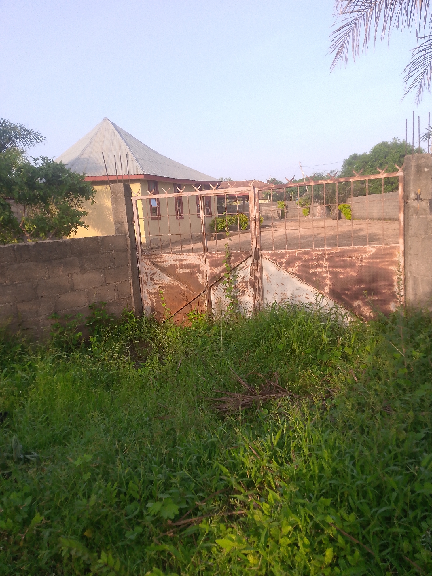 The image shows a property entrance in Jalingo, Nigeria, with a rusty metal gate and a section of brick wall. A yellow building with a conical metal roof is visible behind the gate. Lush green grass and vegetation cover the foreground, obscuring the ground around the gate. The sky is clear and light blue, suggesting it is either early morning or late afternoon. There are no people or animals in the scene. The overall impression is one of an unattended or disused property, with signs of age and neglect on the gate.