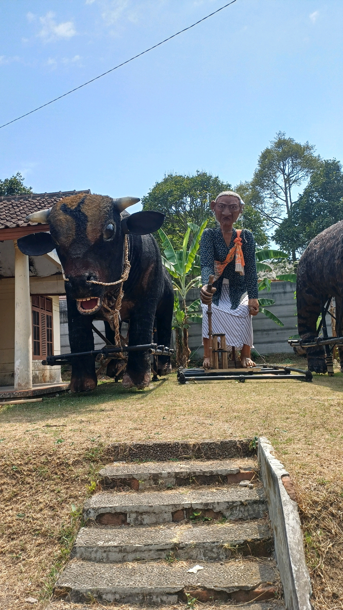 The image depicts a scene outdoors in Karangwuni, Indonesia, featuring large effigies. In the foreground, a set of weathered stone steps leads up from a dry, grassy area. To the left, a giant, dark-colored effigy of a bull with horns and an open mouth is positioned in front of a building with brown tiled roofing and a window. The bull is outfitted with a rope tether. In the center, a towering effigy of an elderly person, with distinctive facial features and wearing traditional clothing including a patterned shirt, striped skirt, and an orange sash, stands holding a wooden staff. This figure is also on a platform. To the right, partially visible, is another large effigy, appearing to be a different animal, possibly another bull. In the background, banana trees and other lush green foliage are present, with a clear blue sky overhead. The overall setting appears to be an outdoor display or cultural exhibit.
