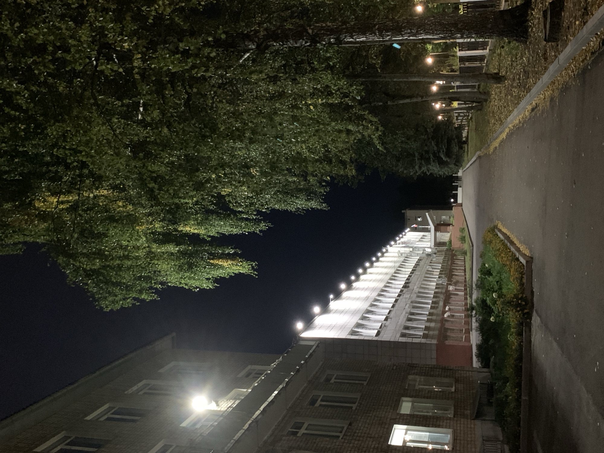The image depicts a nighttime scene on the grounds of the Chaikovsky State Institute, located in the city of Chaikovsky, Russia. A long, multi-story brick and concrete building, illuminated by numerous lights along its facade, stretches into the distance on the left. The building appears to be an educational or administrative facility. In front of the building, a planted garden bed with greenery and some yellowing foliage is visible.
To the right of the building, a paved pathway, likely a sidewalk or road, leads away from the viewer. This path is bordered by a row of trees, primarily birch trees with distinctive white bark and dense green foliage, some of which shows hints of yellow, suggesting autumn. The trees are illuminated by streetlights that cast a warm glow. Beyond the trees, a fence separates the path from a grassy area and more trees. The overall atmosphere is quiet and serene, characteristic of a campus at night. The sky is dark, indicating nighttime, and the lighting suggests the presence of artificial illumination from the building and streetlights. There are no people or discernible actions taking place in the scene.