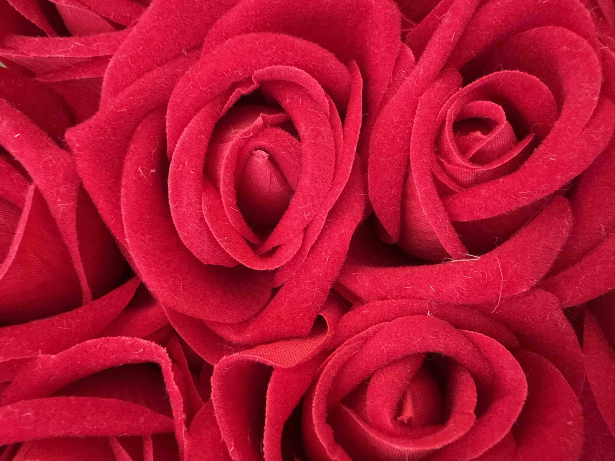 Close-up of red velvet artificial roses. Location information is not discernible from the image.