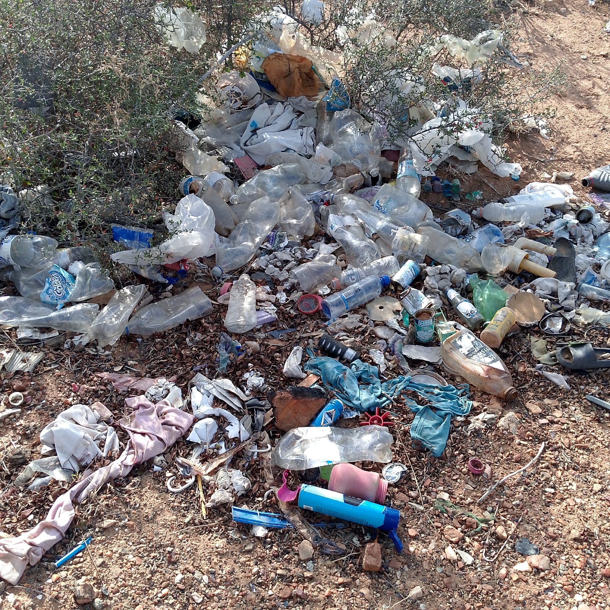 The image shows a pile of litter and trash accumulated on dry, gravelly ground, likely in an unkept or neglected area near Altagracia, Venezuela. The trash is comprised primarily of discarded plastic bottles and plastic bags, cans, clothing fragments, and other miscellaneous waste. The rubbish is interspersed with sparse, thorny vegetation and dry soil. No people are visible in the scene.