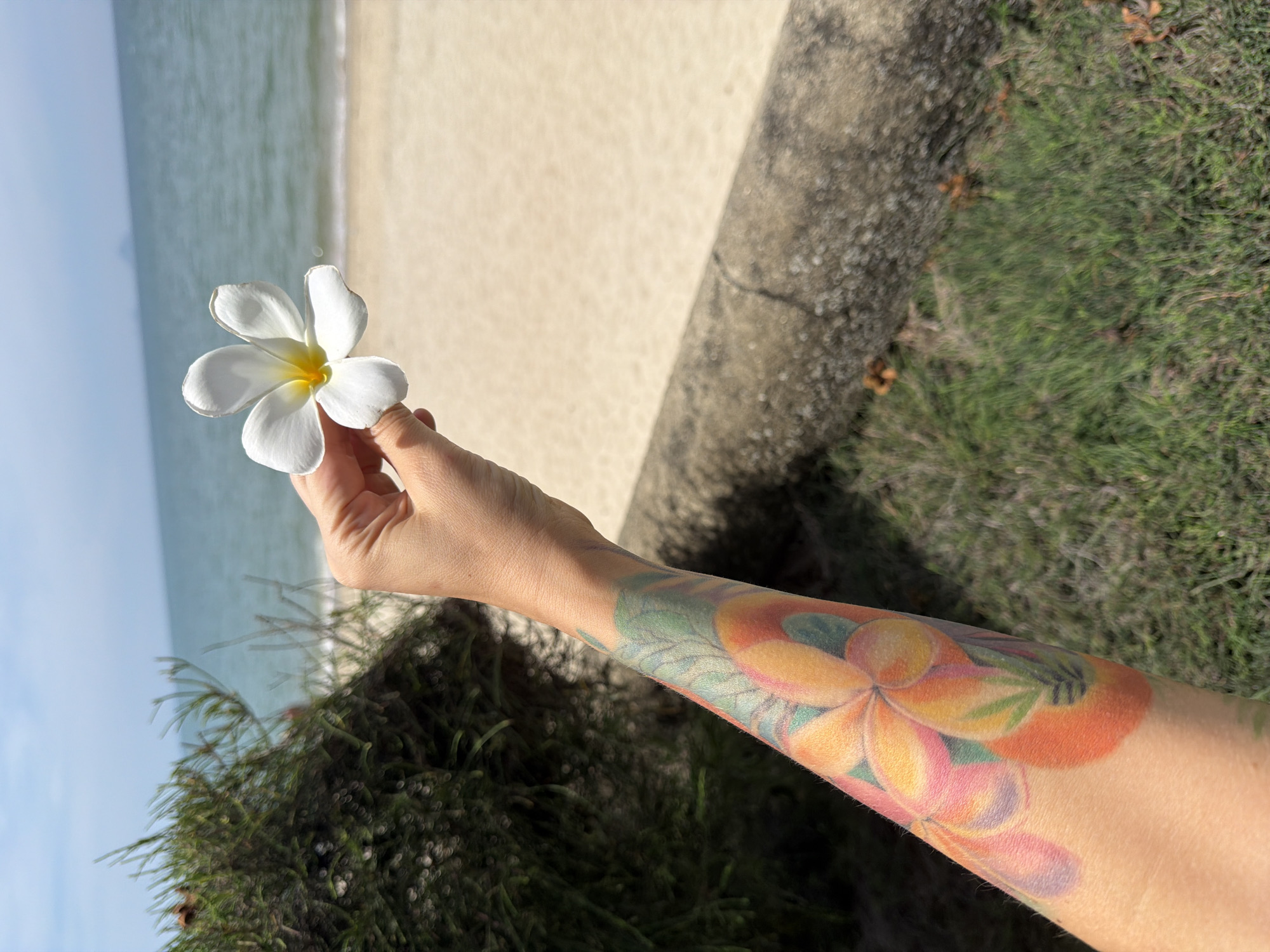 An arm with a colorful floral tattoo is holding a white plumeria flower up towards the camera. The background is a sandy beach with calm, blue ocean water under a bright sky. A green bush is visible on the left side of the frame, and a low concrete wall runs horizontally across the middle ground. The scene is likely on a sunny day.