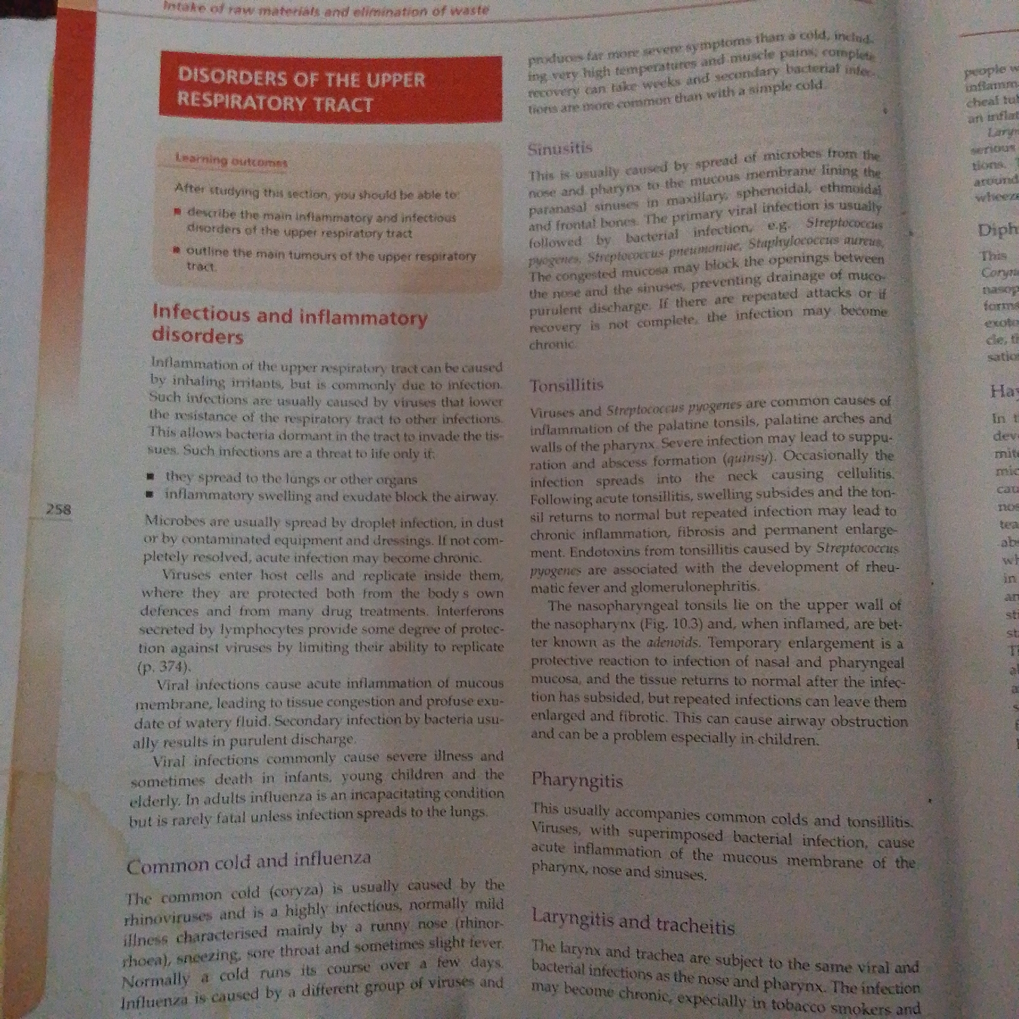 This is a close-up, eye-level, medium shot of an open textbook page. The page is primarily white with dark text, some headings in red, and a narrow orange-red vertical stripe on the left margin.
The subjects are the text and the layout of the book. The text discusses "DISORDERS OF THE UPPER RESPIRATORY TRACT," detailing various conditions such as Sinusitis, Tonsillitis, Pharyngitis, and Laryngitis and tracheitis. It also covers "Infectious and inflammatory disorders" and the "Common cold and influenza." Learning outcomes are listed, and bullet points describe symptoms and causes.
The visible text includes the chapter title, learning outcomes, section headings, and detailed explanations of respiratory illnesses. Specific terms like "Streptococcus pyogenes," "rhinoviruses," and "adenoids" are mentioned. The page number "258" is visible on the left margin.
There are no people, objects, or discernible scene elements other than the book itself. The setting is implied to be educational, likely a classroom or personal study environment, given it's a textbook page. No time of day, weather, or emotional cues are present. The location context of Jalingo, Nigeria, is not visually represented on the page itself.