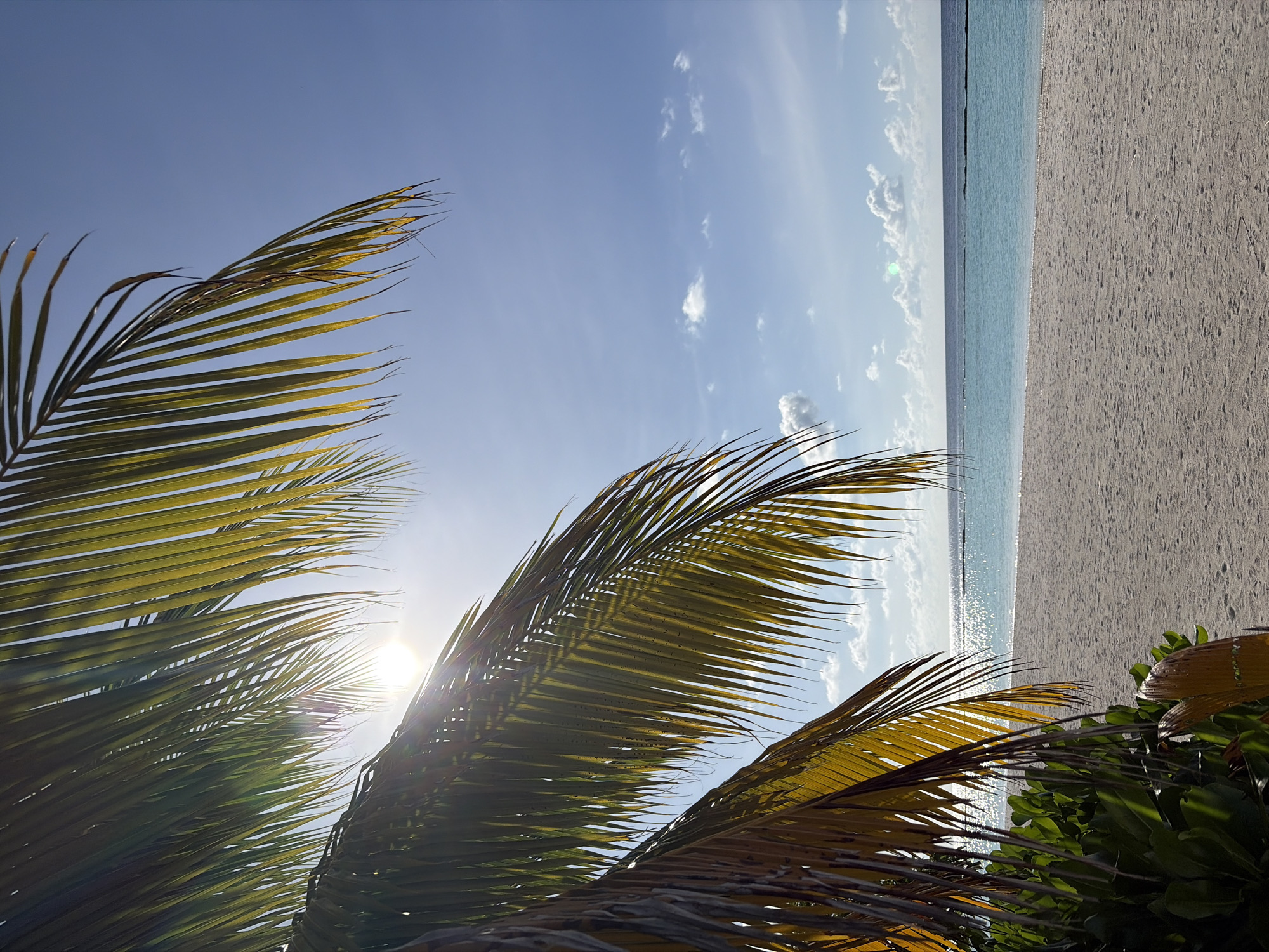 A low-angle shot looks through the fronds of a palm tree towards a white sandy beach and the turquoise ocean under a bright blue sky. The sun is shining through the palm fronds, creating lens flare. There are a few small white clouds in the sky. The ocean is calm with a thin line of darker water in the distance, possibly a reef. The beach is empty.