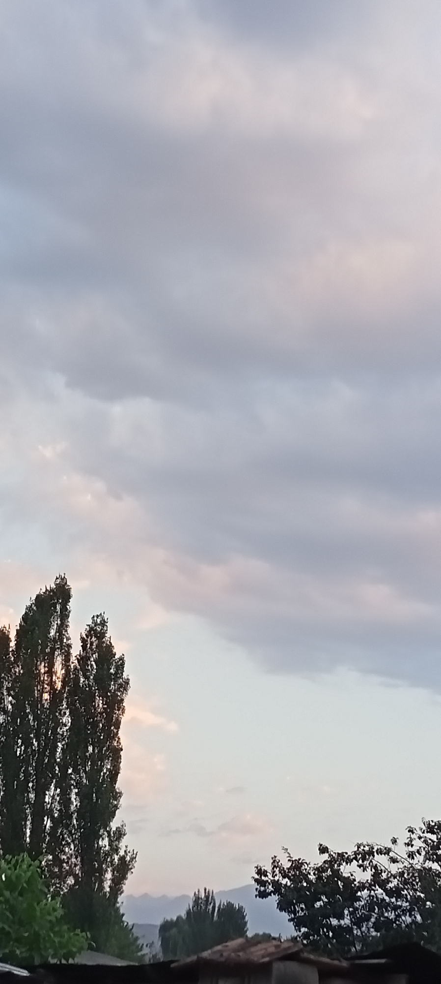 This is a landscape photograph taken outdoors, likely in the evening or early morning given the soft light and diffused clouds. The scene depicts a sky filled with gray and pale pink clouds. In the foreground, tall, dark green trees are visible on the left side of the frame. To the right, the tops of other trees with darker foliage are present, along with what appears to be the roof of a building. In the distance, a range of blue-hued mountains can be seen. The overall impression is one of a peaceful, natural setting. The image was taken in Romanovka, Kyrgyzstan.