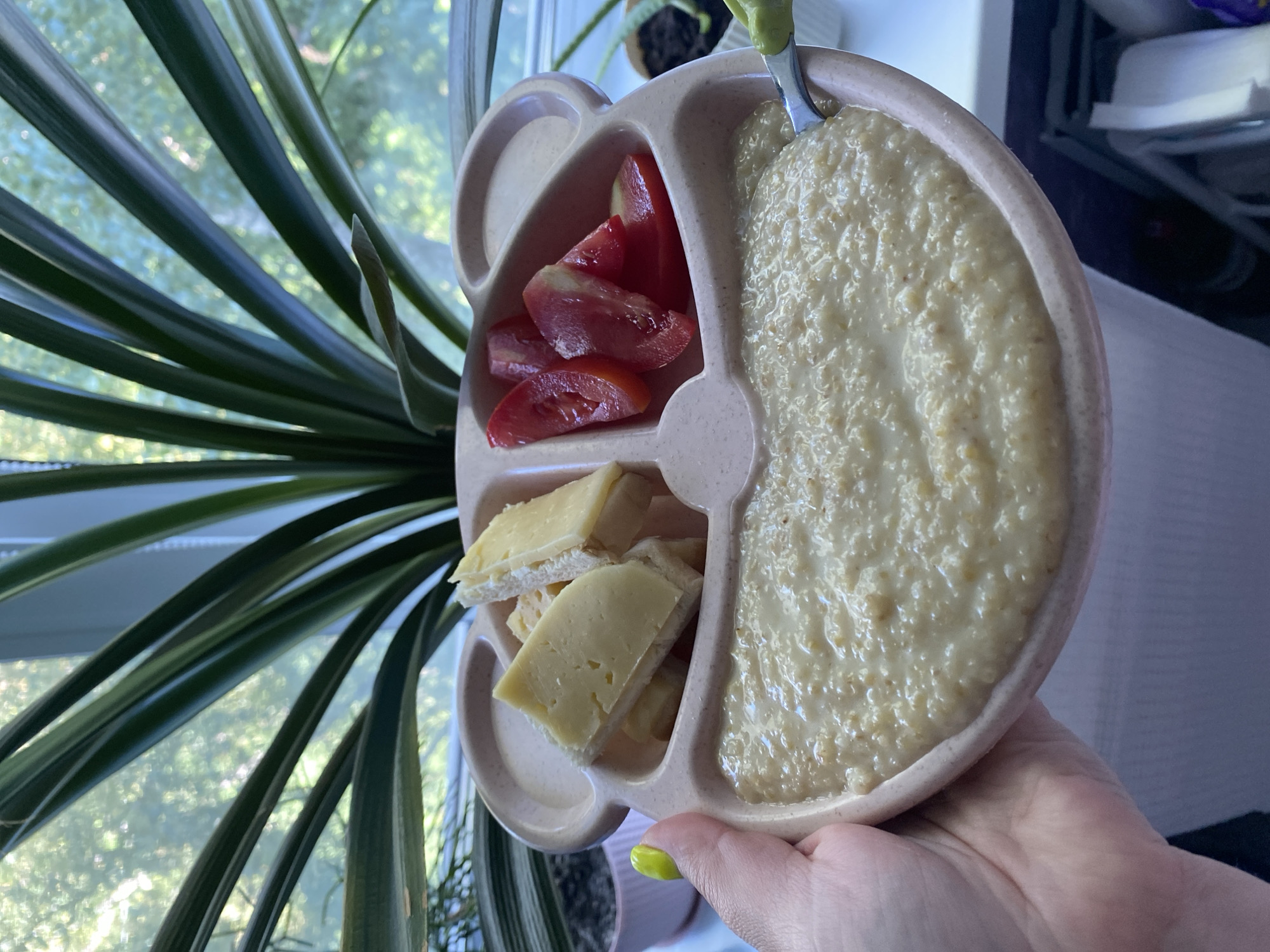 A close-up, overhead shot shows a bear-shaped plate with three compartments. The largest compartment is filled with oatmeal. A smaller compartment holds slices of cheese on white bread, and another holds sliced tomatoes. A hand with bright green nail polish is holding the plate. Behind the plate, a large plant with long green leaves is visible, and behind that, a window looks out onto a blurry, sunlit garden. The plate is made of a light pink, textured material.