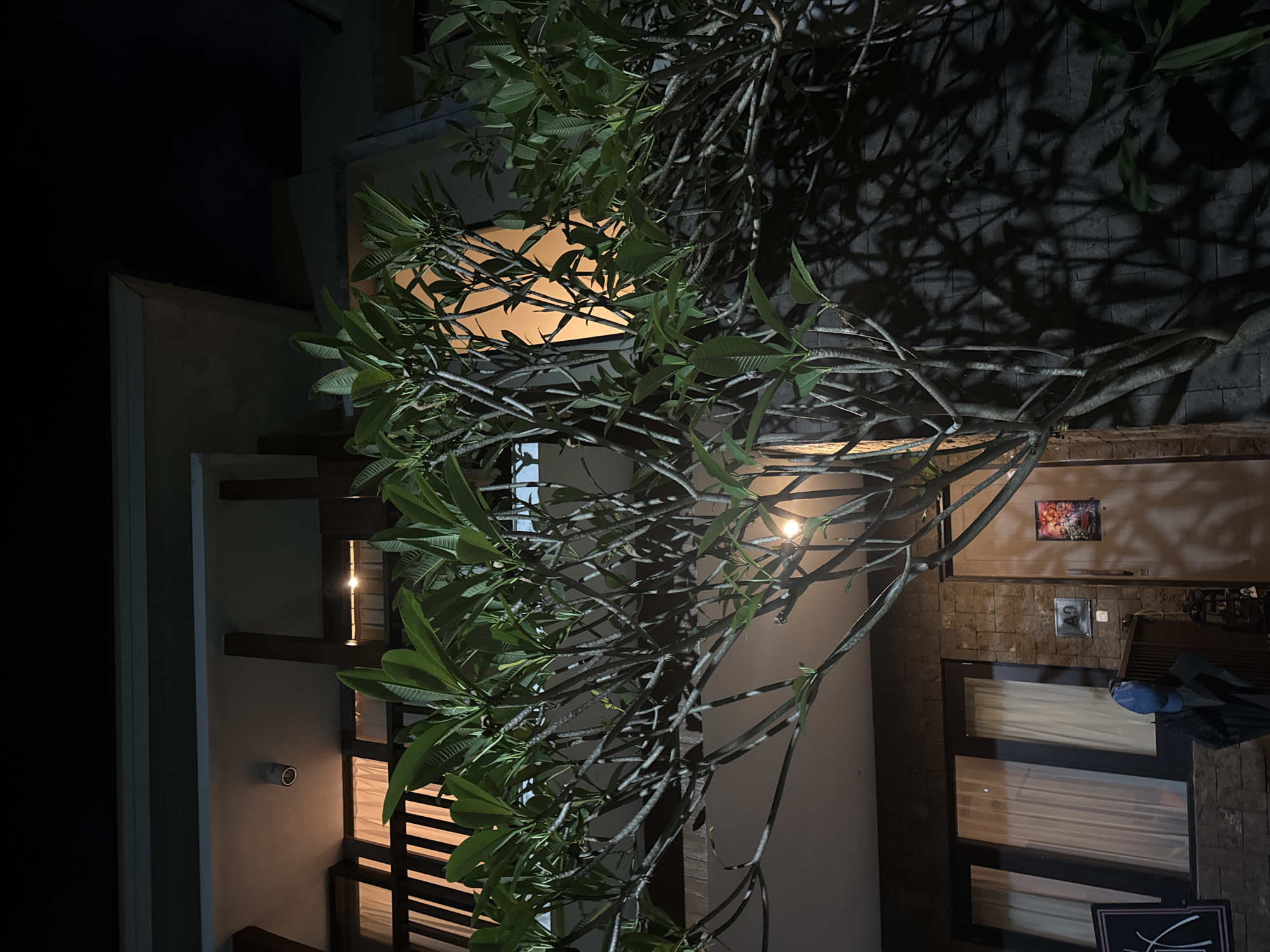 At night in Kuta Selatan, Indonesia, a building is viewed through the foliage of a tree. The building is illuminated by internal and external lighting. The exterior is a mix of stone and stucco, with windows covered by blinds or curtains. An artwork hangs above a door marked "A9". A parked vehicle is visible on the right. The tree's branches extend across the image, with shadows cast on the ground.