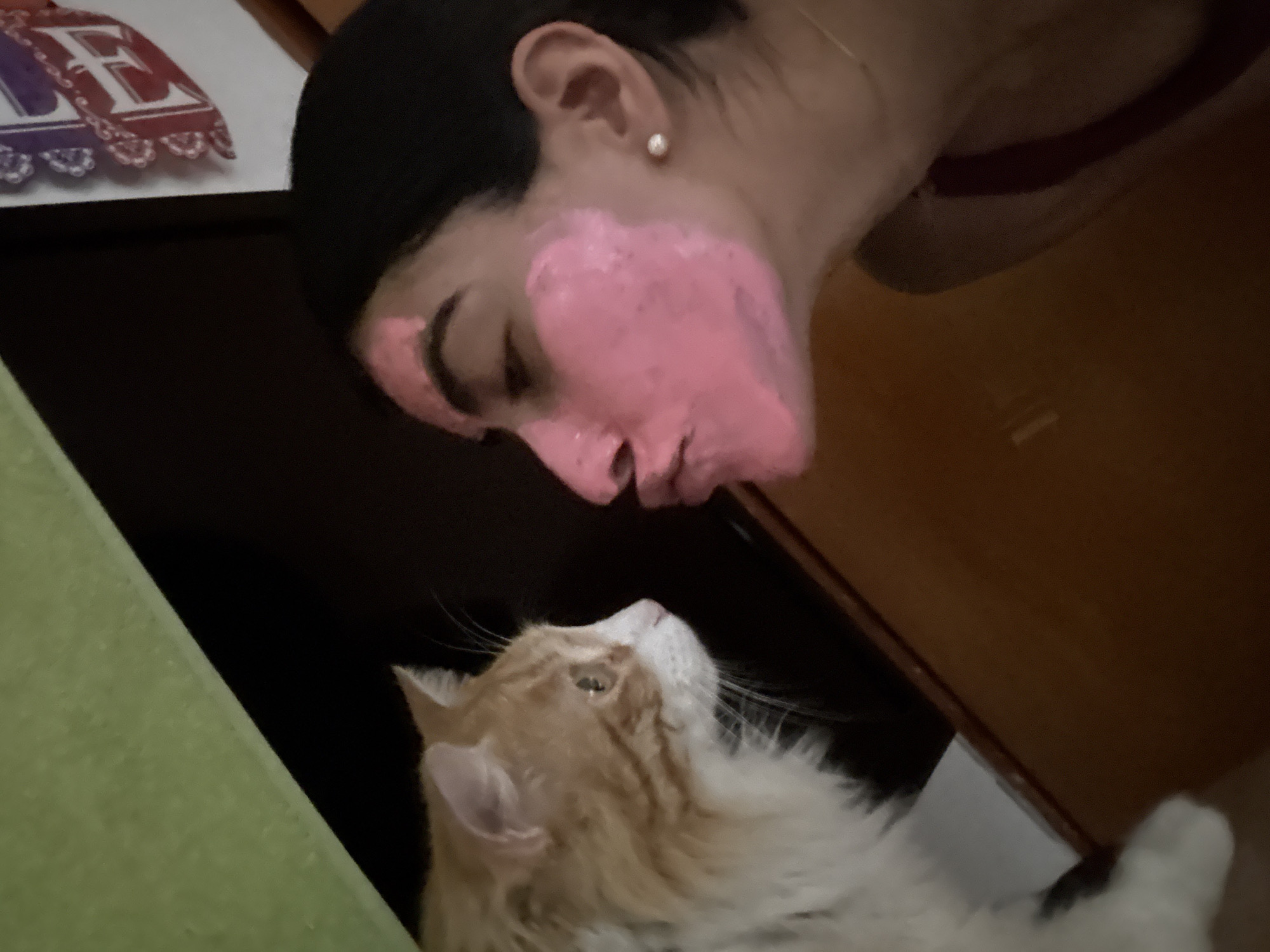 A low-angle shot shows a woman with a pink face mask interacting with a fluffy orange and white cat. The woman has dark hair and is wearing an earring. She is angled downward, almost nose-to-nose with the cat, which is looking up at her. The background includes a green object to the left, a dark surface possibly a table or cabinet, and part of a door or wall in the upper right. There is also what appears to be a decorative letter "E" in the background. There is no information in the image that indicates it was taken in Puebla, Mexico.
