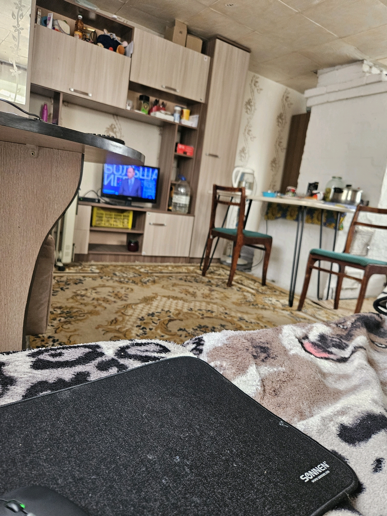 The image depicts the interior of a room, possibly a living room or dining area, in a dwelling located in the village of Sipavskoye, Russia. The scene is sparsely furnished and appears somewhat dated. In the foreground, a black mousepad with the brand "SONNEN" is visible, suggesting a computer is in use or has been recently used. Behind the mousepad, a soft blanket with a patterned design, possibly depicting an animal, is draped over a surface.
The middle ground of the image reveals a patterned rug covering the floor. To the left, a television is on, displaying a man in a suit, with Russian text above him. The television sits on a shelf unit that is part of a larger, light-colored cabinet system that lines the wall. This cabinet system includes open shelves with various items, including bottles and what appears to be a yellow plastic crate.
Further back, a small table with two chairs is set up. The chairs have dark wooden frames and teal-colored seats. On the table, various items are present, including containers and what looks like kitchenware. A white electric kettle is also visible on a surface near the table. To the right, a portion of a brick structure, possibly a stove or fireplace, is visible against the wall. The walls are adorned with wallpaper featuring a subtle floral pattern. The ceiling is textured, and there are visible light fixtures or conduits. The overall impression is of a modest, lived-in domestic space.