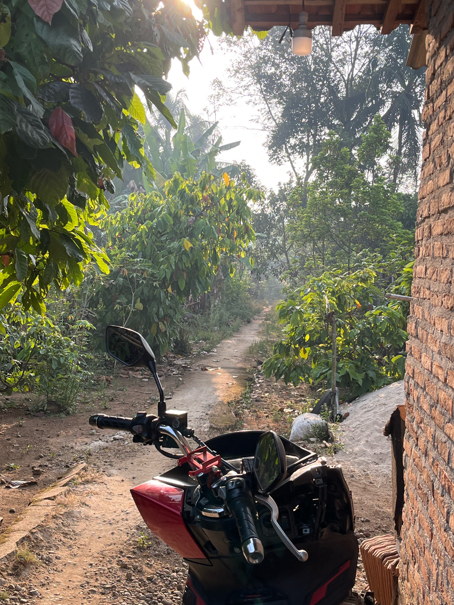 The image depicts a scene in Kebumen, Indonesia, featuring a red and black scooter parked on a dirt path. The path is flanked by lush green foliage and trees, suggesting a rural or semi-rural setting. Sunlight filters through the leaves, creating dappled lighting. To the right of the path, a brick wall is visible, and above it, a portion of a wooden roof with a lit bulb hangs. The overall atmosphere is serene and bathed in natural light.