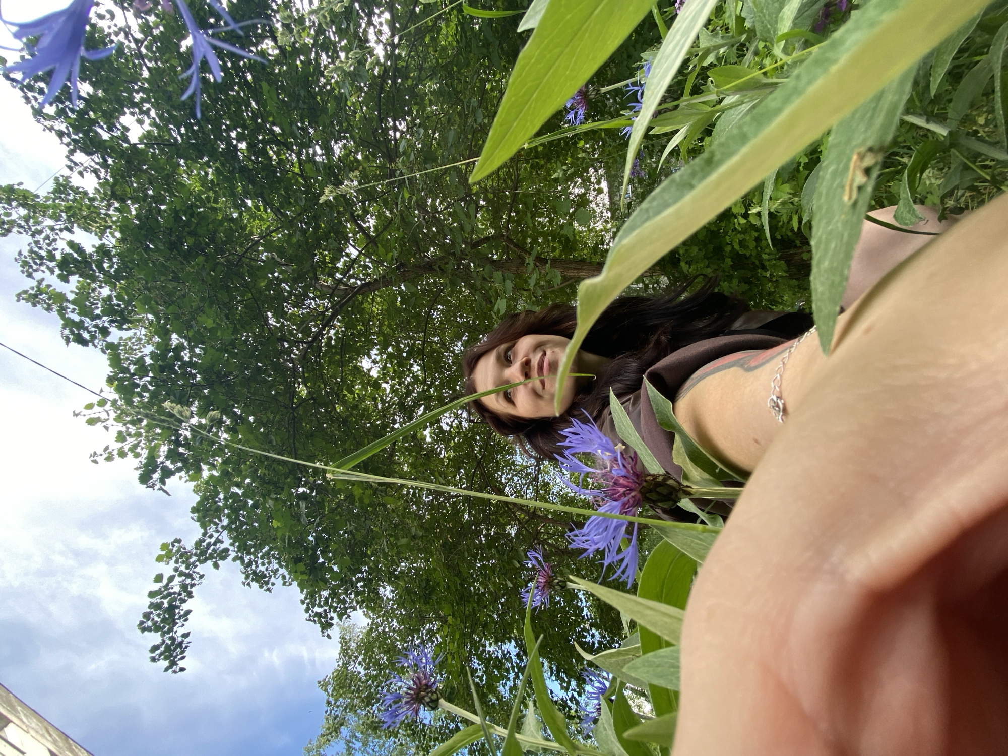 An upward-angled shot captures a young woman looking down into the camera, surrounded by vibrant green foliage and blue-purple flowers. The woman's face, visible from the nose to the chin, appears at the top of the frame, framed by long dark hair, and she has a soft, relaxed expression with a slight smile. Her right arm/shoulder is visible on the right side, adorned with a silver chain bracelet.
The foreground and midground are filled with large green leaves and stalks, several of which are out of focus, creating a sense of depth. Prominently featured are multiple blue and purple cornflower-like blossoms, some in sharp focus in the lower and central parts of the image. The unusual low perspective places the viewer seemingly on the ground, looking up through the plants.
In the background, a dense canopy of lush green trees extends across the upper half of the image, suggesting an abundant natural environment. Patches of blue sky with light, scattered clouds are visible through the leaves, indicating a daytime setting with partly cloudy weather. The scene evokes a serene and natural outdoor space, possibly a garden or park in Chaikovsky, Russia. There is no visible text.