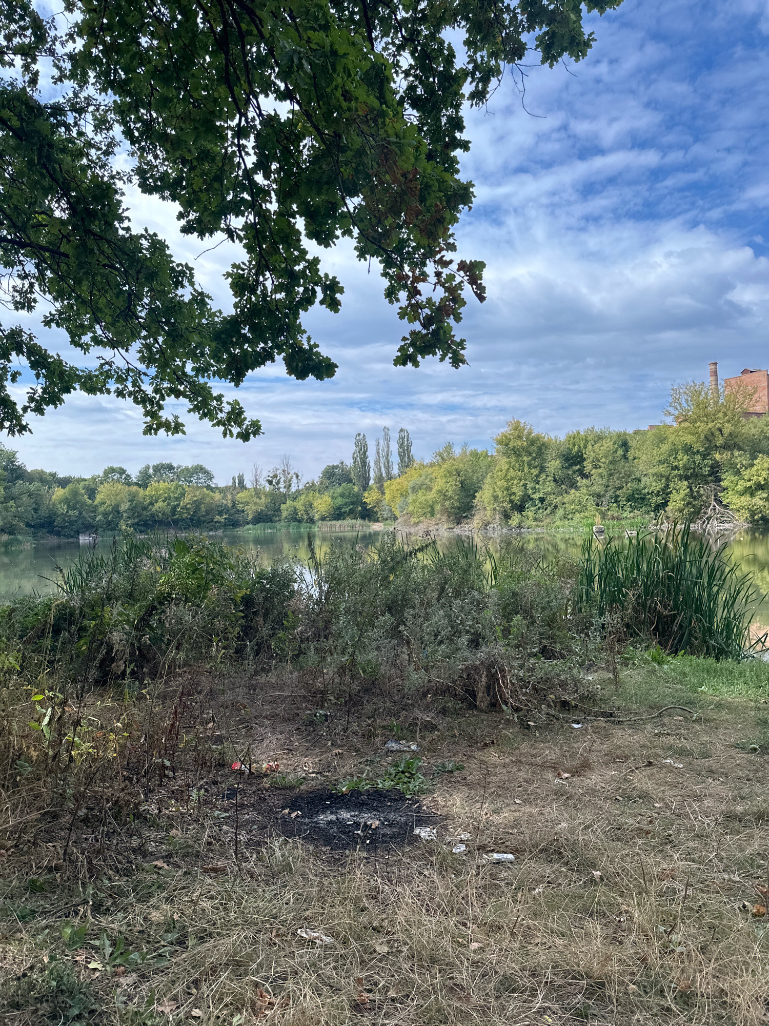 In Makiv, Ukraine, a serene lake scene is marred by visible signs of human neglect. Overgrown vegetation lines the shore, obscuring the water's edge in places. A patch of scorched earth, likely from a campfire, sits prominently in the foreground, surrounded by scattered litter, including plastic wrappers and a red and white object, possibly a food container. Beyond the immediate shoreline, dense trees create a natural barrier, with taller, thinner trees reaching towards a cloudy sky. In the distance, an industrial building with a brick chimney suggests the proximity of urban development to this otherwise natural setting. The overall impression is one of a once-pristine environment now burdened by human activity.