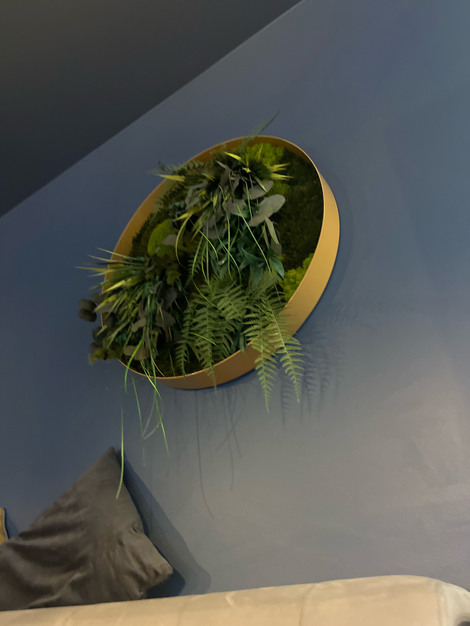 The image depicts a circular wall art installation featuring an assortment of artificial plants, including ferns and other greenery, set within a golden frame. The installation is mounted on a dark blue wall. Below the wall art, a dark grey cushion is visible, and further down, a portion of a light-colored sofa or chair is present. The lighting suggests an indoor setting, potentially a residential or commercial space. The location in Tallinn, Estonia, is not discernible from the visual information provided in the image.