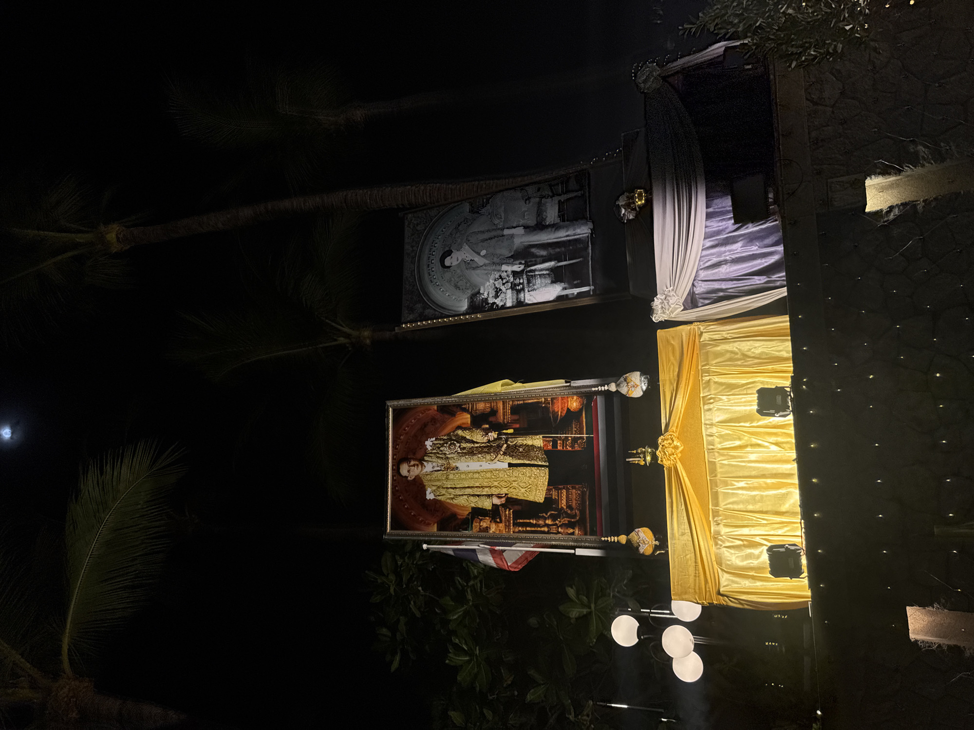 The image was taken at night and shows two framed portraits, likely of Thai royalty, on display. The portraits are illuminated and decorated with draped fabrics and ornaments. A Thai flag is visible near the lower portrait. Palm trees surround the scene. The presence of Thai royalty portraits and the Thai flag suggests the location is in Thailand, specifically Patong, as indicated in the prompt.