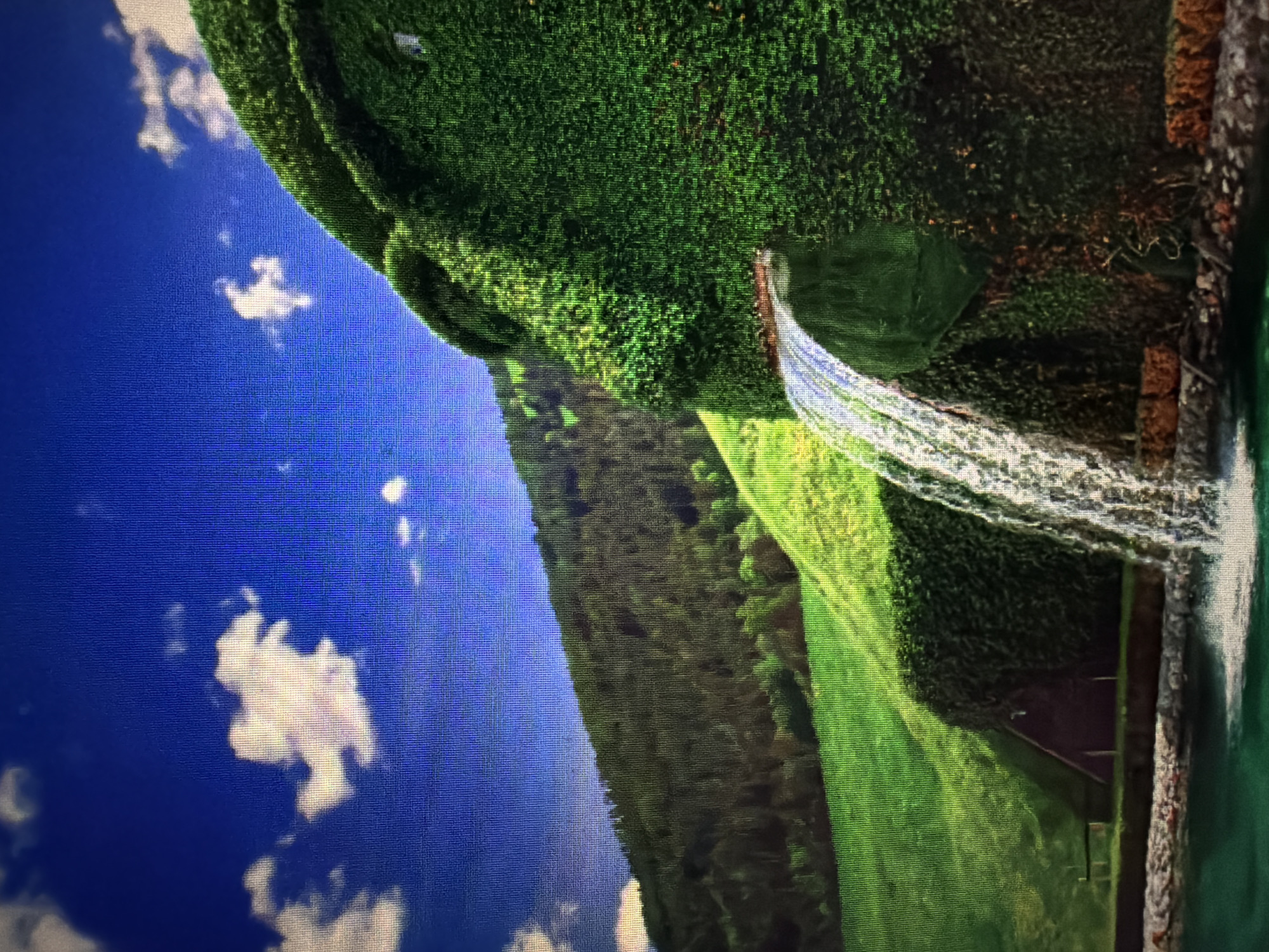 The image depicts a surreal landscape with a prominent feature resembling a sculpted head formed entirely of lush green ivy. This "head" is positioned on the right side of the frame, with its features subtly defined by the dense foliage. A waterfall cascades from what appears to be the mouth of the ivy head, flowing into a body of water at the bottom of the image.
The background consists of rolling green hills covered in trees, leading up to a bright blue sky with scattered white clouds. A small, reddish-brown structure, possibly a shed or small house, is partially visible nestled at the base of the ivy head. The overall scene evokes a fantasy or whimsical aesthetic. There is no discernible indication of the location being in Baan Mae Nam, Thailand.