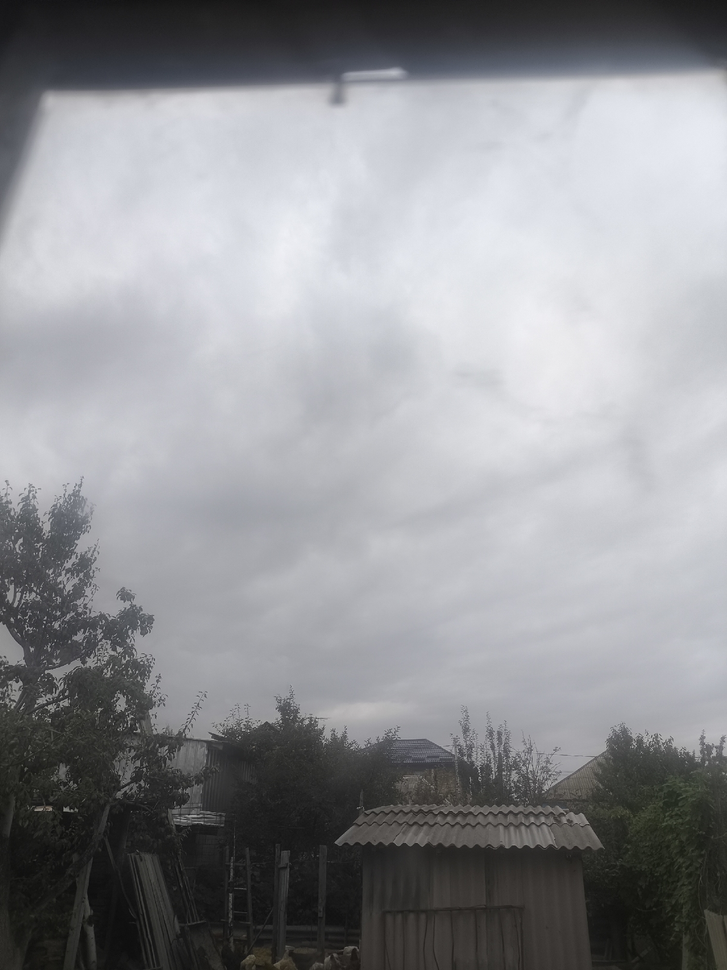 The image depicts an overcast sky above a rural scene in Karakol City, Kyrgyzstan. In the foreground, a small, shed-like structure with a corrugated roof is visible. To the left of the shed, a large tree with dark foliage stands, and to the right, dense vegetation and other structures are present. The background shows several buildings with roofs and more trees, all under a uniformly gray sky. The overall impression is one of a mundane, everyday setting on a cloudy day.