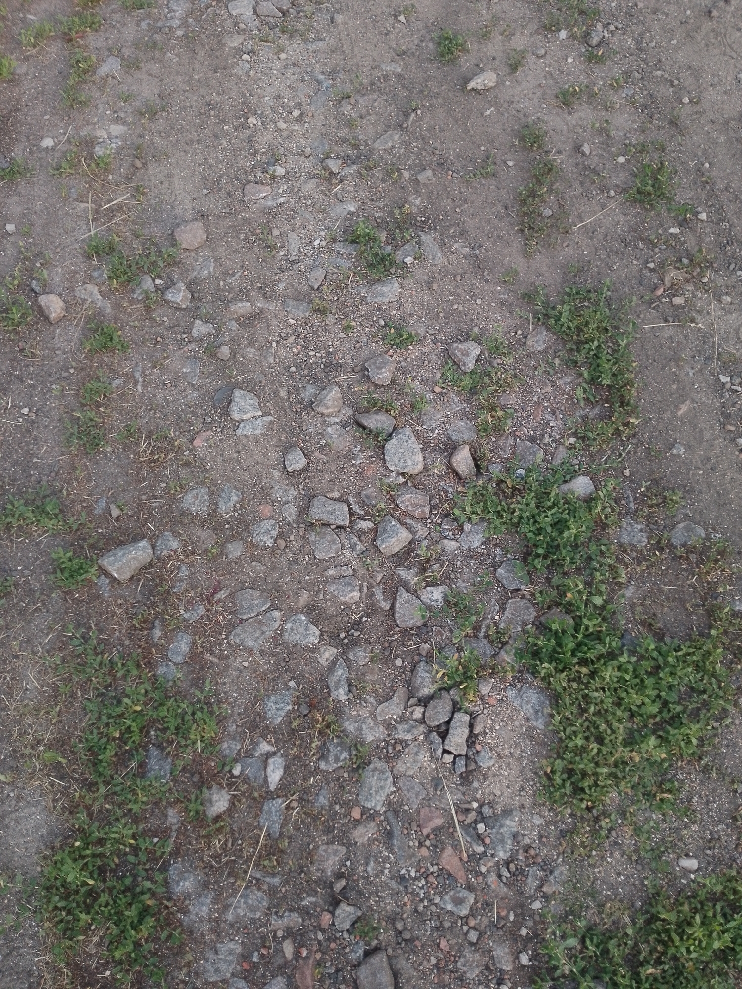The image depicts a close-up view of a rough, outdoor ground surface. The terrain is a mixture of dirt, small pebbles, and larger stones of varying gray and brown hues. Patches of sparse green grass and some dry, straw-like vegetation are scattered across the surface. The lighting suggests it is daytime, with no strong shadows indicating a specific time. The overall impression is of an unpaved path, a dry creek bed, or a neglected area of ground. There are no people or specific objects visible, other than the natural elements of earth and plant life. The texture of the ground is uneven, with many small rocks and gritty soil.