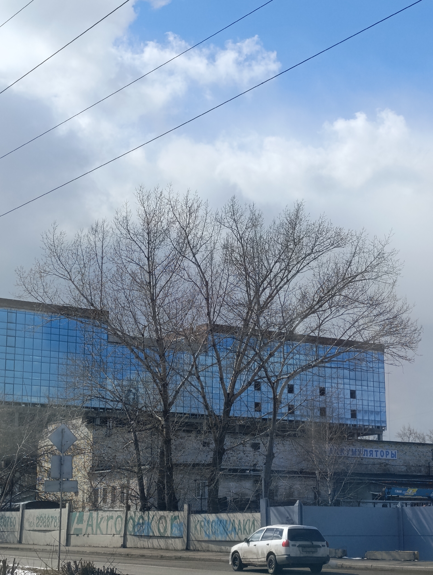 The image captures an urban scene in Krasnoyarsk, Russia, featuring a multi-story building with a modern blue glass facade rising above an older, lower brick structure. A row of bare trees in the foreground partially obscures the buildings. A concrete fence runs along the street level, covered in graffiti, including text in Russian which reads "АКРОПОЛИС" and "ТЕА 2868788." A white car is parked alongside the road. Overhead, power lines stretch across the sky. The sky is partly cloudy with patches of blue. A road sign is visible in the foreground. Text written in Russian "АКУМУЛЯТОРЫ" is visible on the lower brick building.