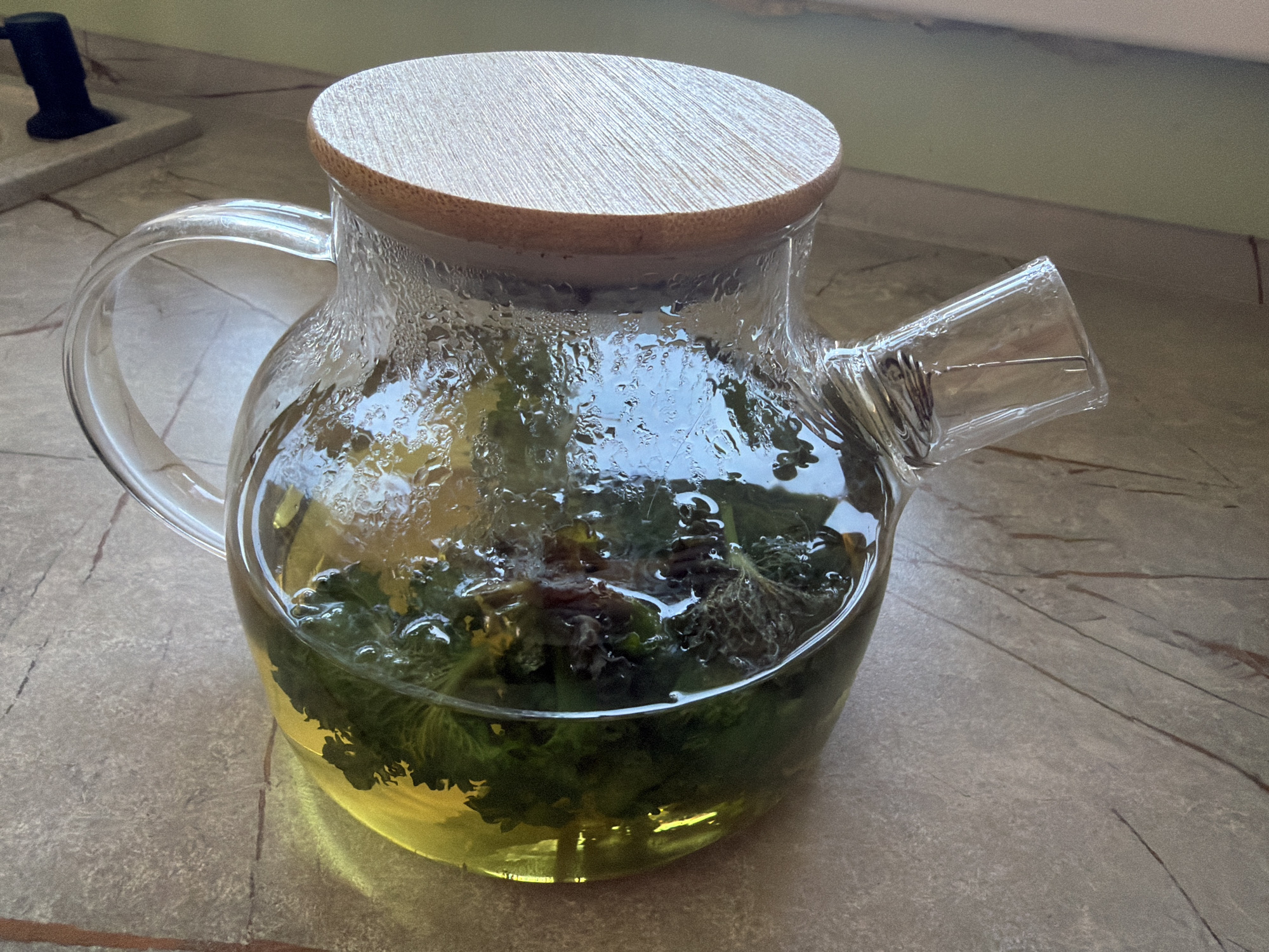 A glass teapot, filled with freshly steeped herbal tea, sits prominently on a mottled, light-colored surface, likely a kitchen counter or table, in Chaikovsky, Russia. The teapot is made of clear glass, allowing full visibility of its contents. A substantial amount of dark green leaves, possibly mint or another aromatic herb, are submerged and floating within the translucent, yellowish-green liquid. Some darker, perhaps purplish, plant fragments are also visible among the green leaves.
A light-colored wooden lid, appearing to be bamboo or a similar wood, covers the top of the teapot, fitting snugly. Heavy condensation coats the interior surface of the glass, indicating that the tea is hot and recently prepared. The teapot features a simple, curved glass handle and a clear glass spout.
The surface beneath the teapot appears to be tiled or made of natural stone, exhibiting irregular patterns of beige, brown, and grey with fine, dark veins. In the background, a soft, natural light illuminates a lighter-toned wall or window area, suggesting it is daytime. The overall scene conveys a sense of domestic calm and the preparation of a warm, natural beverage. No text is visible in the image.