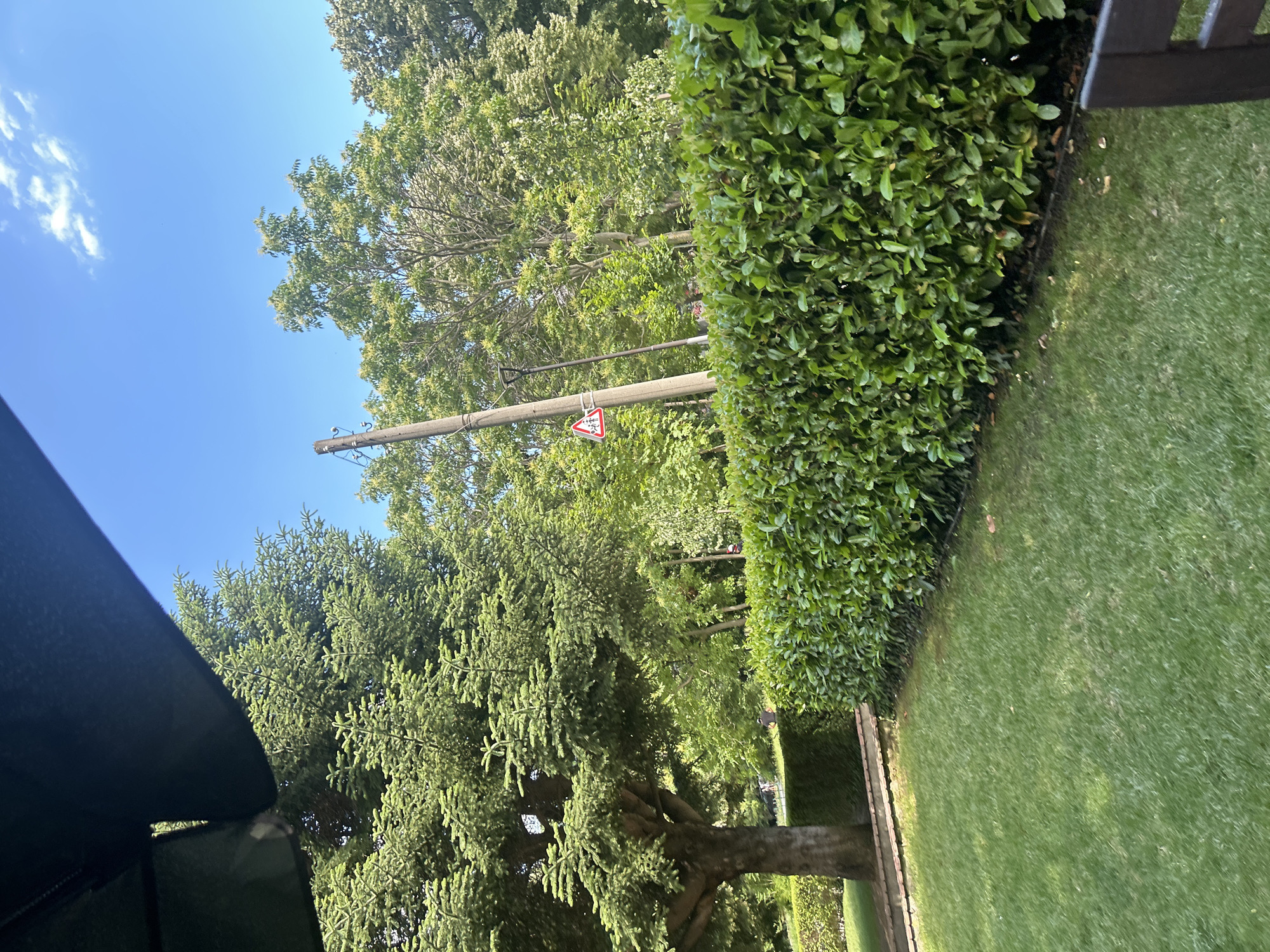 This media file depicts an outdoor scene, likely a garden or park, under a clear blue sky. Lush green trees, a neatly trimmed hedge, and a manicured lawn dominate the visual space. In the background, a wooden utility pole supports wires and a triangular road sign with red borders and a black symbol is visible. The sign is partially obscured by foliage, but appears to indicate a warning. To the left, a dark, angled object, possibly the edge of a structure or awning, is visible in the foreground.
The lighting suggests it is daytime, with sunlight casting shadows on the grass. The abundance of green foliage and the clear sky indicate pleasant weather. There is no visible activity or event taking place; the scene is static, capturing a serene outdoor environment. The presence of the utility pole and road sign might suggest proximity to a road or public area within a residential or recreational setting. No people are visible in the frame. The overall impression is one of a well-maintained, tranquil outdoor space bathed in sunlight. The provided location context of Varna, Bulgaria, further situates the scene within a specific geographical area known for its pleasant climate and greenery.