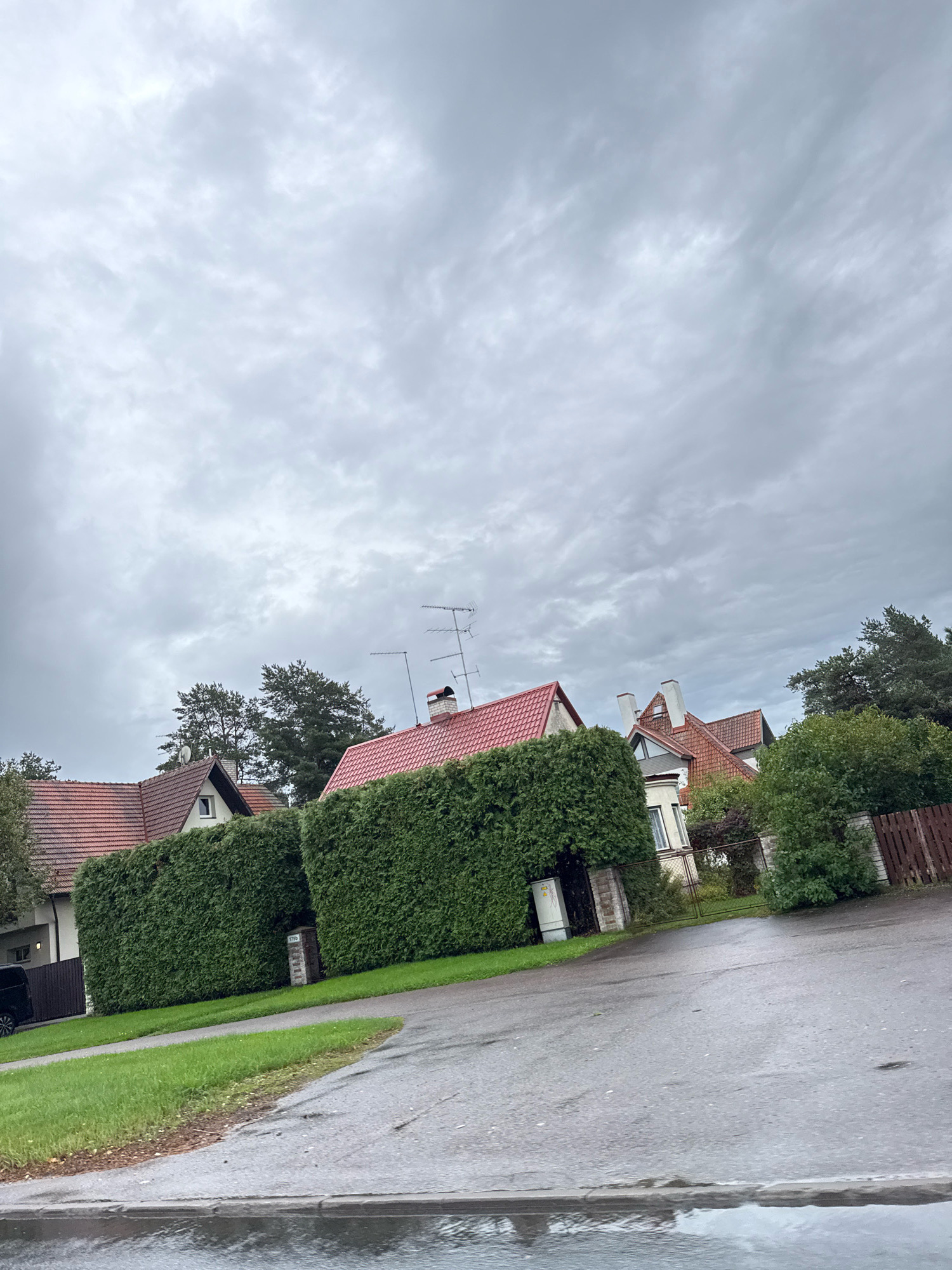 This image depicts a residential street in Tallinn, Estonia, on a cloudy day. The foreground shows a wet asphalt road with puddles reflecting the overcast sky. To the left, a neatly manicured green lawn borders the road. Behind the lawn, a tall, dense green hedge forms a boundary for several houses. These houses have terracotta tile roofs, and some feature visible chimneys. One house has a small window on its gable. The hedges partially obscure the houses and the yards. In the background, more trees are visible, adding to the suburban feel of the neighborhood. A wooden fence can be seen to the right, separating properties. The sky is filled with heavy, grey clouds, suggesting a possibility of rain or recent rainfall. There are no people or vehicles prominently featured in the image, focusing the scene on the architecture and the natural surroundings. The overall impression is one of a quiet, well-maintained residential area under a somber sky.