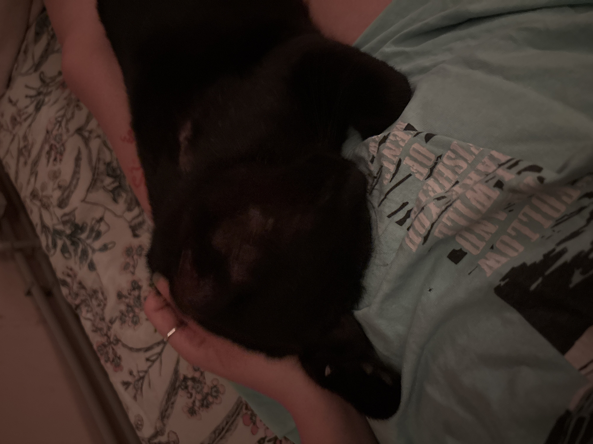 A black cat is being held by a person. The cat is resting its head on the person's arm and chest. The person is wearing a light blue t-shirt with a graphic design. The background shows a bed with a floral patterned comforter. The scene appears to be indoors, in a domestic setting. There is no indication of the location being in Vratsa, Bulgaria.