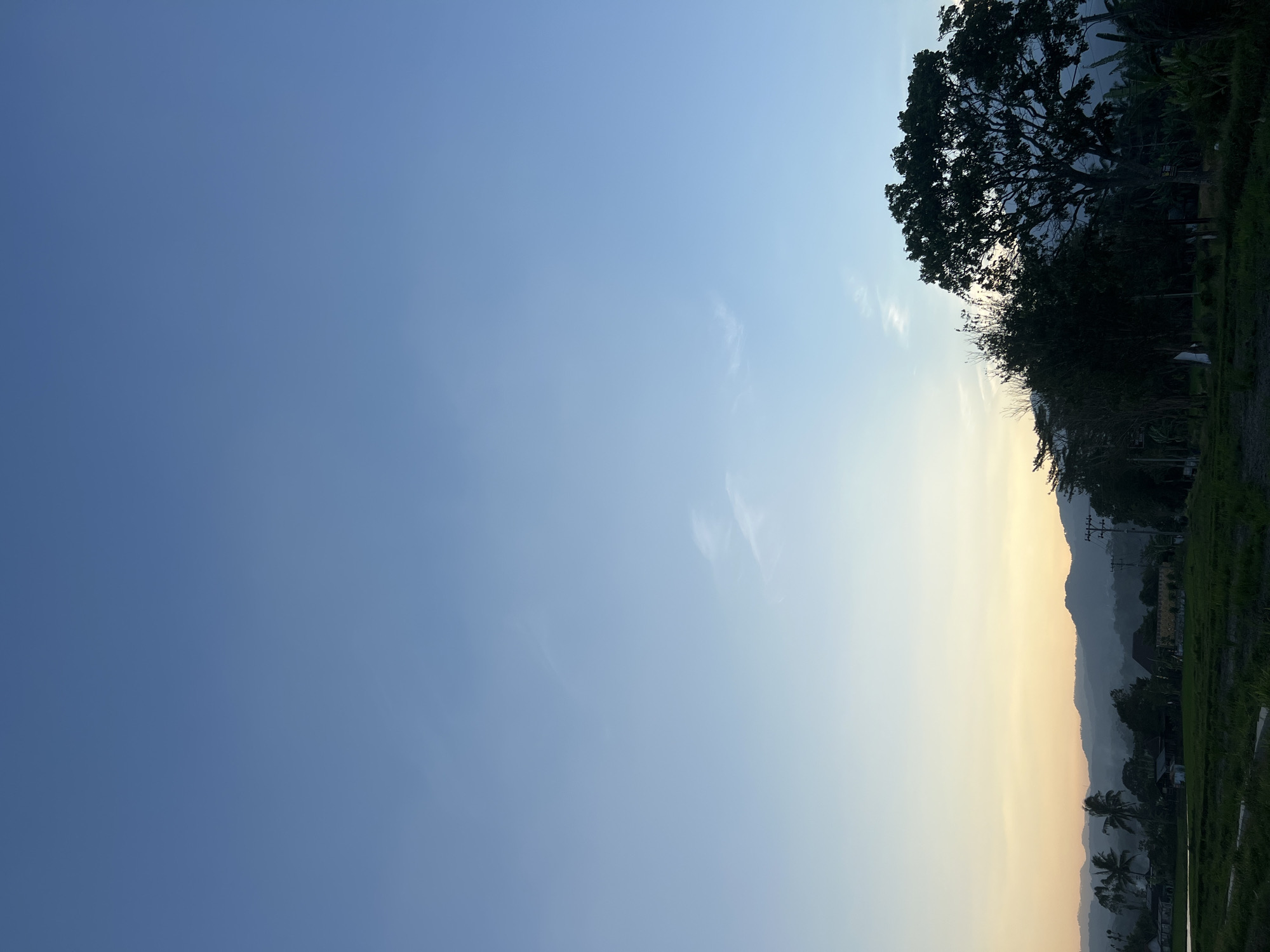 The image depicts a tranquil natural landscape at dawn or dusk in Kalijoso, Indonesia. The sky transitions from a deep blue at the top to a soft gradient of yellow and orange near the horizon, indicating the presence of the sun just below or above the visible landscape. A layer of distant mountains is silhouetted against the sky, with a faint haze obscuring some of their details.
In the foreground, lush green fields and vegetation are visible, suggesting a rural or agricultural setting. Several trees are scattered across the landscape, with a large, mature tree dominating the right side of the frame, its silhouette sharp against the softer light of the sky. Hints of human habitation are present, with the suggestion of rooftops and structures nestled amongst the trees and fields. Utility poles and lines are also visible, indicating the presence of infrastructure.
The scene is devoid of any people or animals, emphasizing the quiet and serene atmosphere. The overall impression is one of a peaceful rural vista, characteristic of the Indonesian countryside during the transitional hours of daylight.
