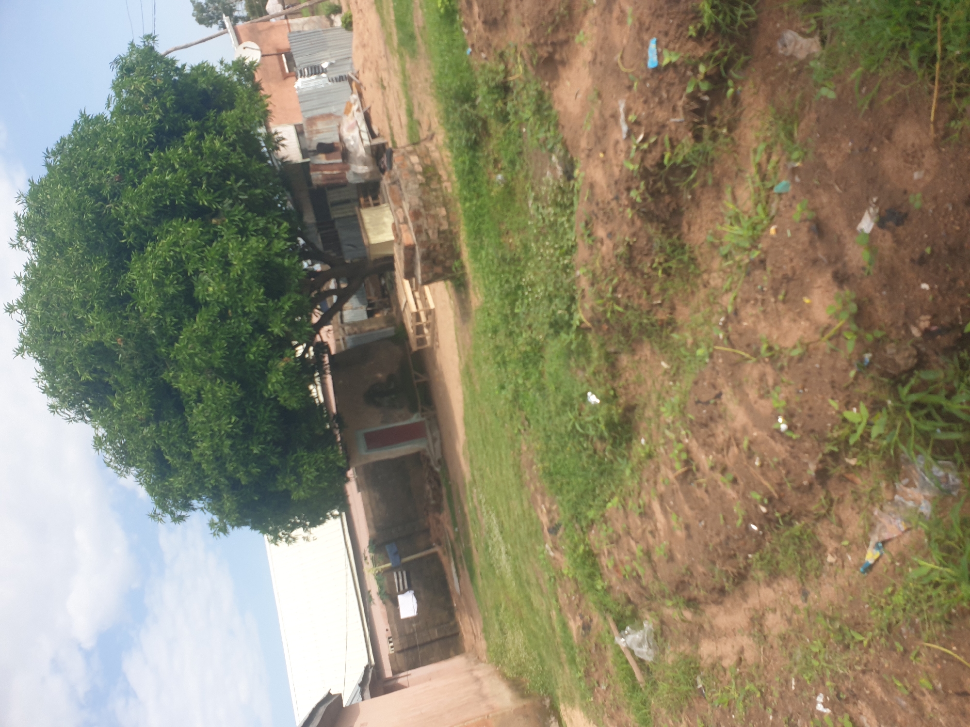 The image shows a residential compound in Jalingo, Nigeria. A large, leafy tree dominates the center of the frame. In the background, a white-roofed building is visible, along with other structures constructed with corrugated metal and what appears to be mud or concrete walls. Some of these buildings have a dilapidated appearance. The ground is a mixture of dry earth, patches of grass, and scattered debris, including plastic bags and other refuse. In the foreground, the earth is disturbed, with evidence of planting beds or eroded areas. The sky is partly cloudy with a mix of blue sky and white clouds. There are no people visible in the image. The scene depicts an outdoor environment typical of a residential area in a tropical climate, with elements of both nature and human habitation.
