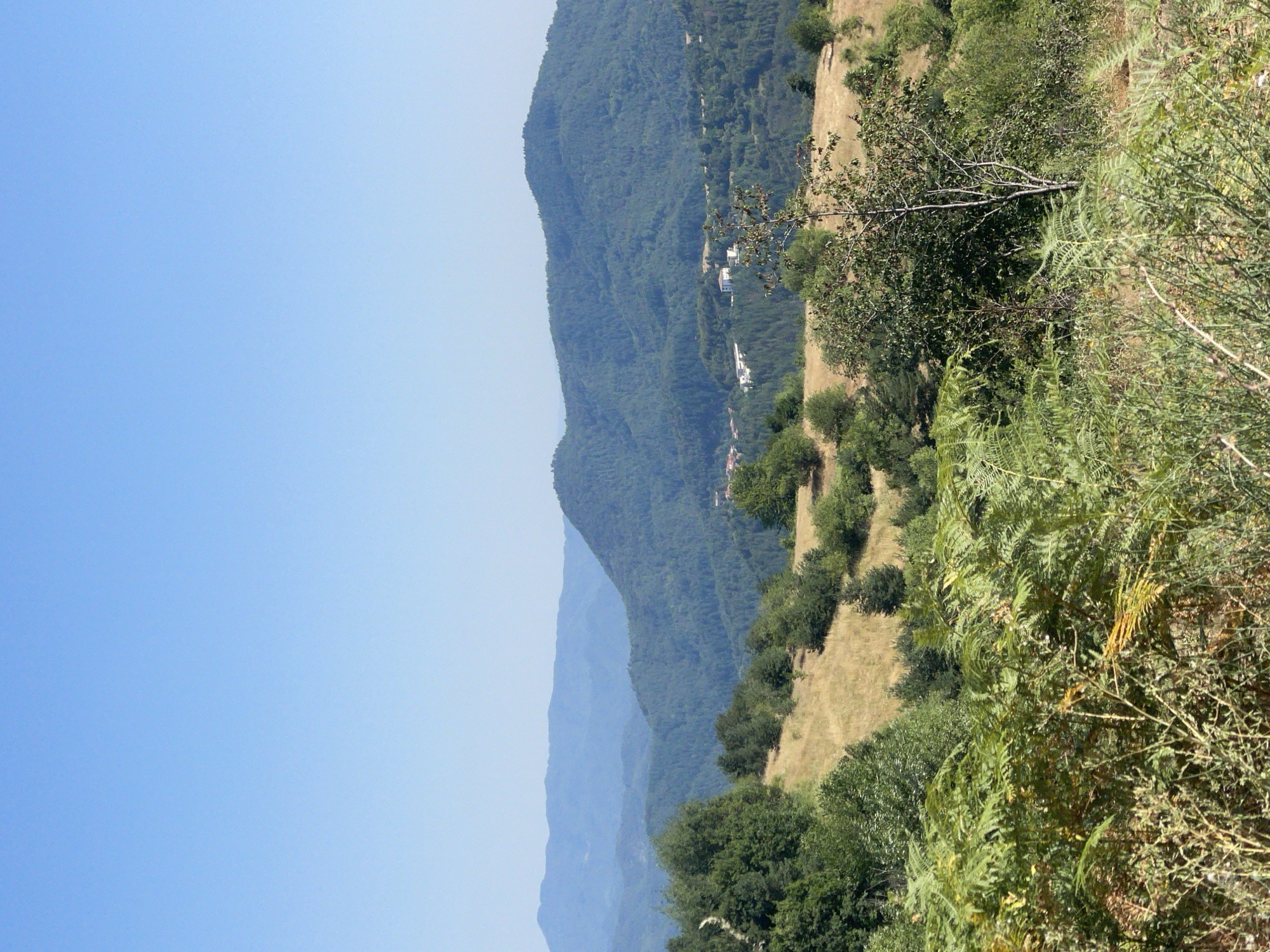 The image depicts a panoramic view of a rural, mountainous landscape under a clear blue sky. In the foreground, lush green ferns and other vegetation create a dense, textured layer. Beyond this, a sloping hillside is covered in dry, golden grasses and scattered trees. Further in the distance, rolling green mountains, densely forested with various shades of green, rise and recede. A few buildings, appearing to be houses or small structures, are visible nestled within the lower slopes of the mountains. The overall scene conveys a sense of natural tranquility and remoteness. This vista is characteristic of the hilly and mountainous terrain found in and around Oryahovets, Bulgaria, which is known for its picturesque natural beauty and scattered rural settlements.